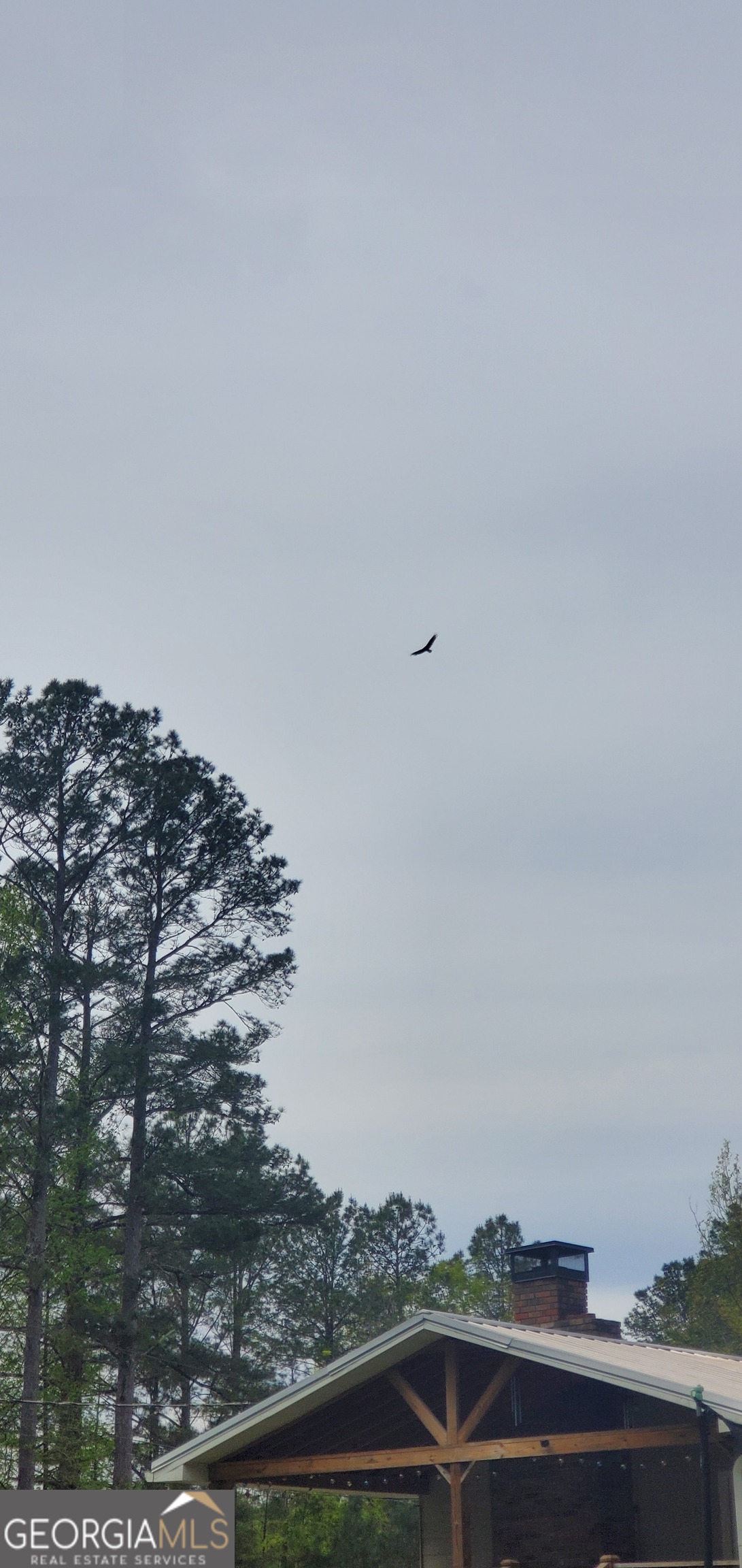 384 Enon Grove Road Franklin, GA 30217 - Photo 116 of 132