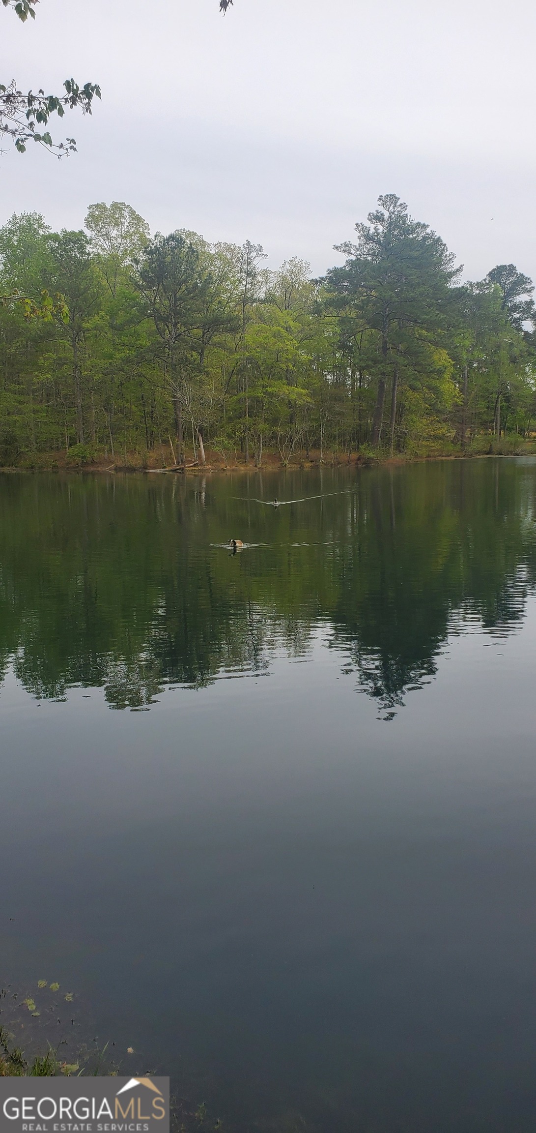 384 Enon Grove Road Franklin, GA 30217 - Photo 117 of 132