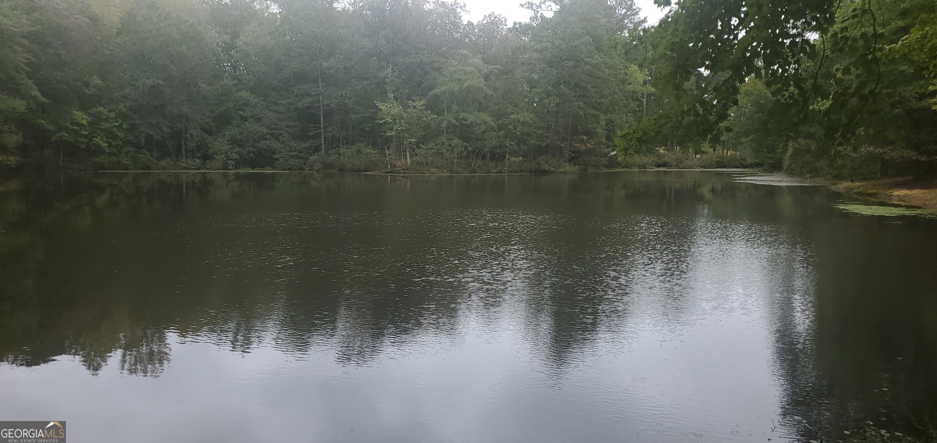 384 Enon Grove Road Franklin, GA 30217 - Photo 118 of 132