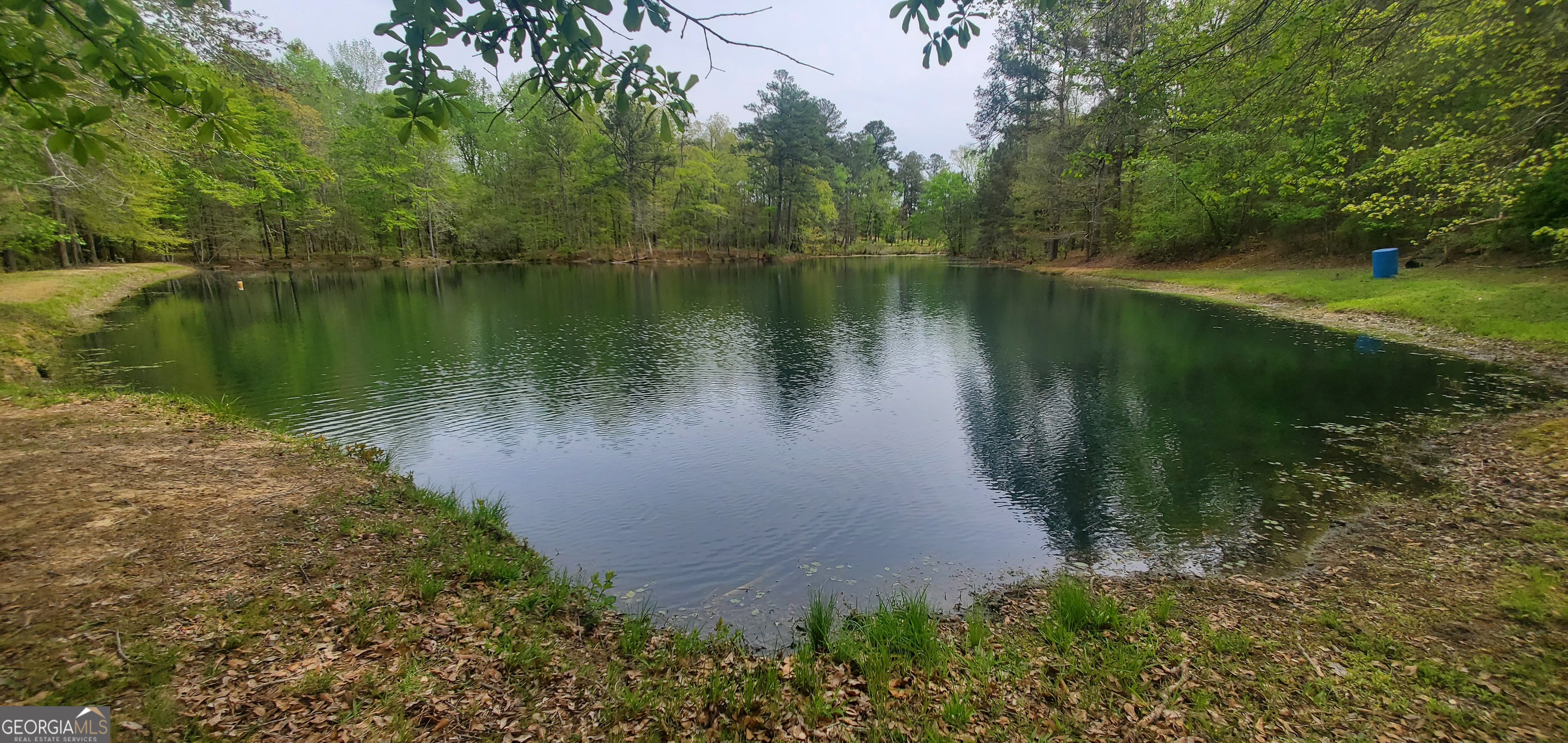 384 Enon Grove Road Franklin, GA 30217 - Photo 119 of 132