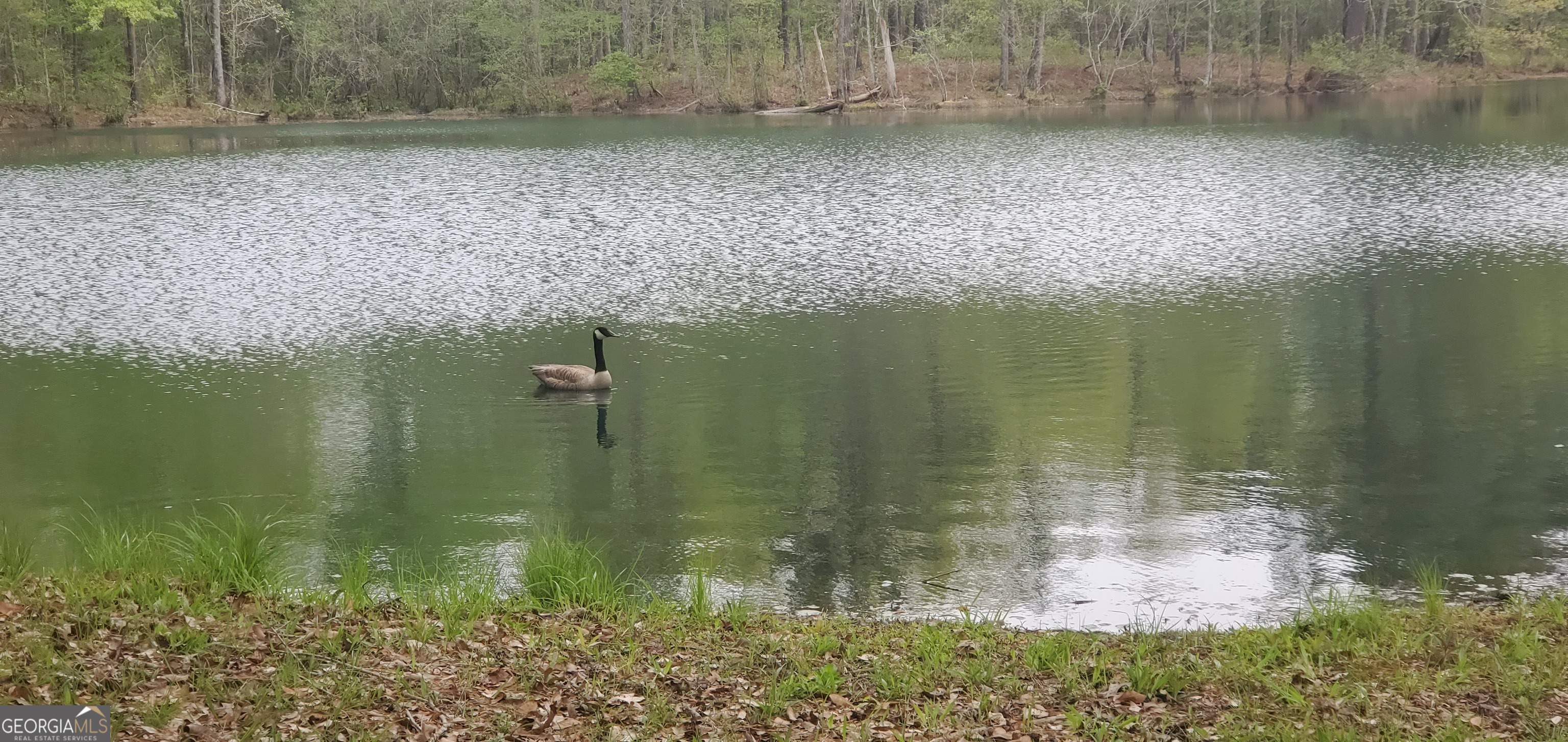 384 Enon Grove Road Franklin, GA 30217 - Photo 120 of 132