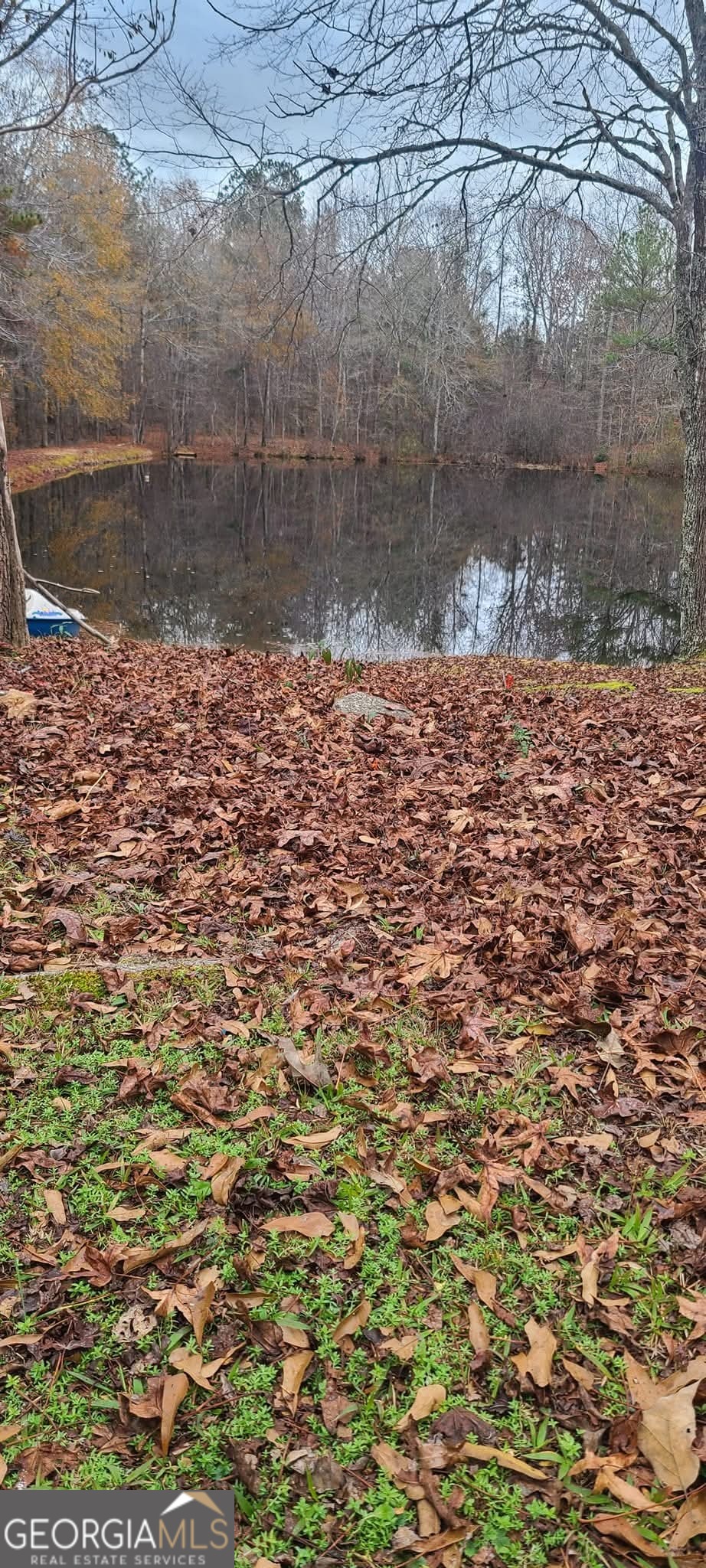 384 Enon Grove Road Franklin, GA 30217 - Photo 121 of 132