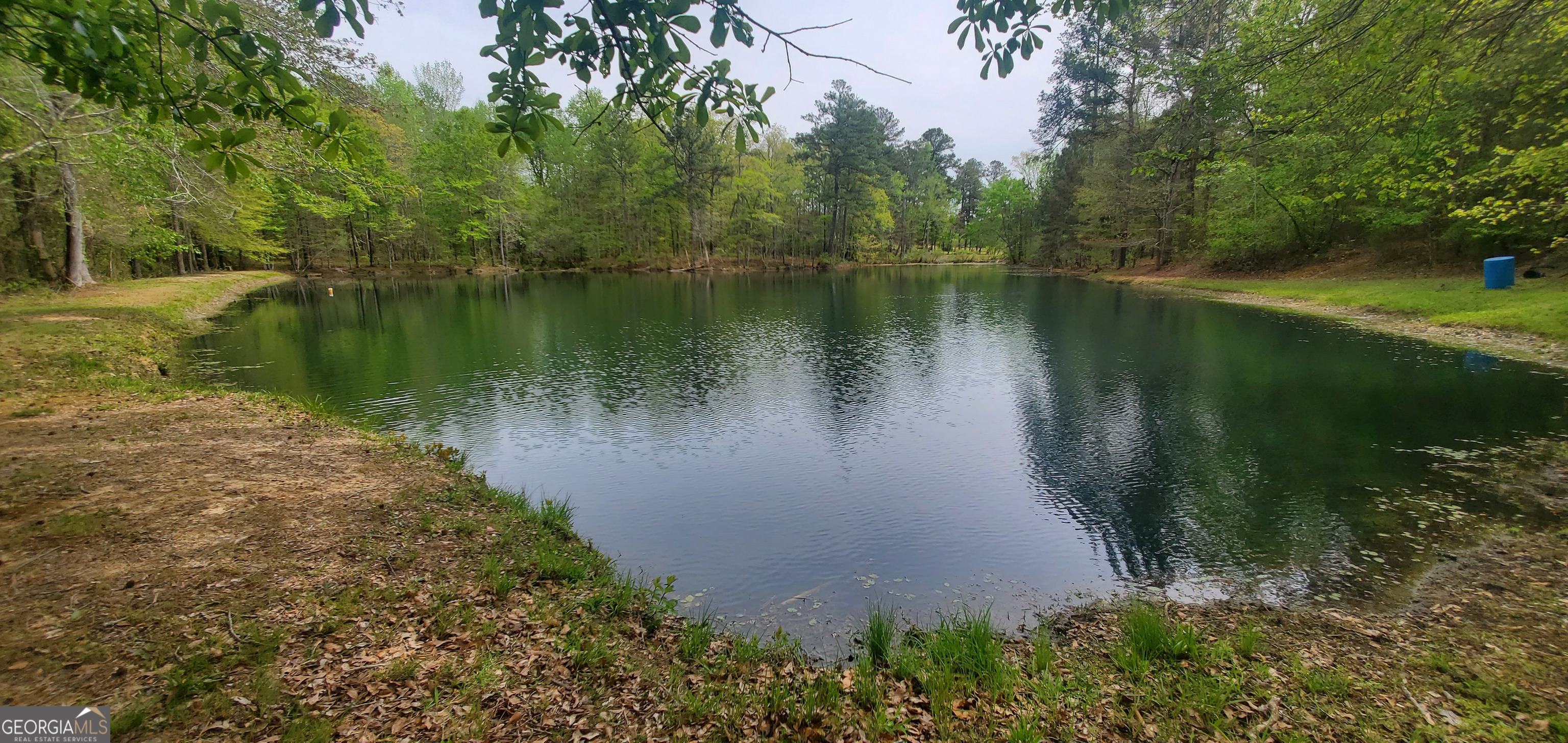 384 Enon Grove Road Franklin, GA 30217 - Photo 13 of 132