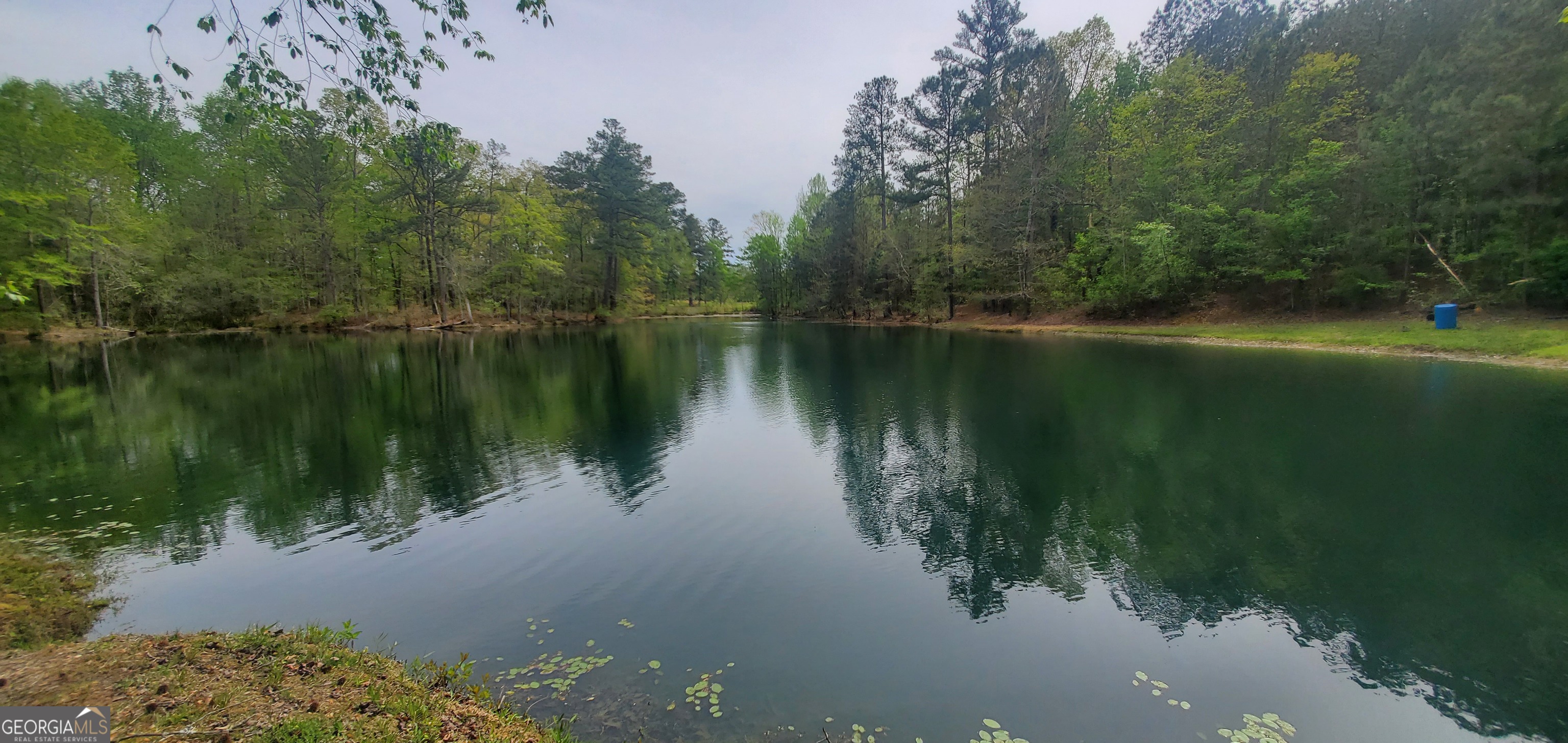 384 Enon Grove Road Franklin, GA 30217 - Photo 131 of 132