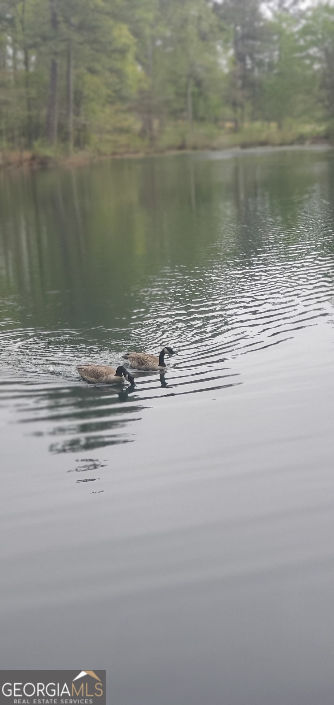 384 Enon Grove Road Franklin, GA 30217 - Photo 16 of 132