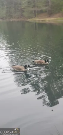 a view of a livingroom with a fireplace