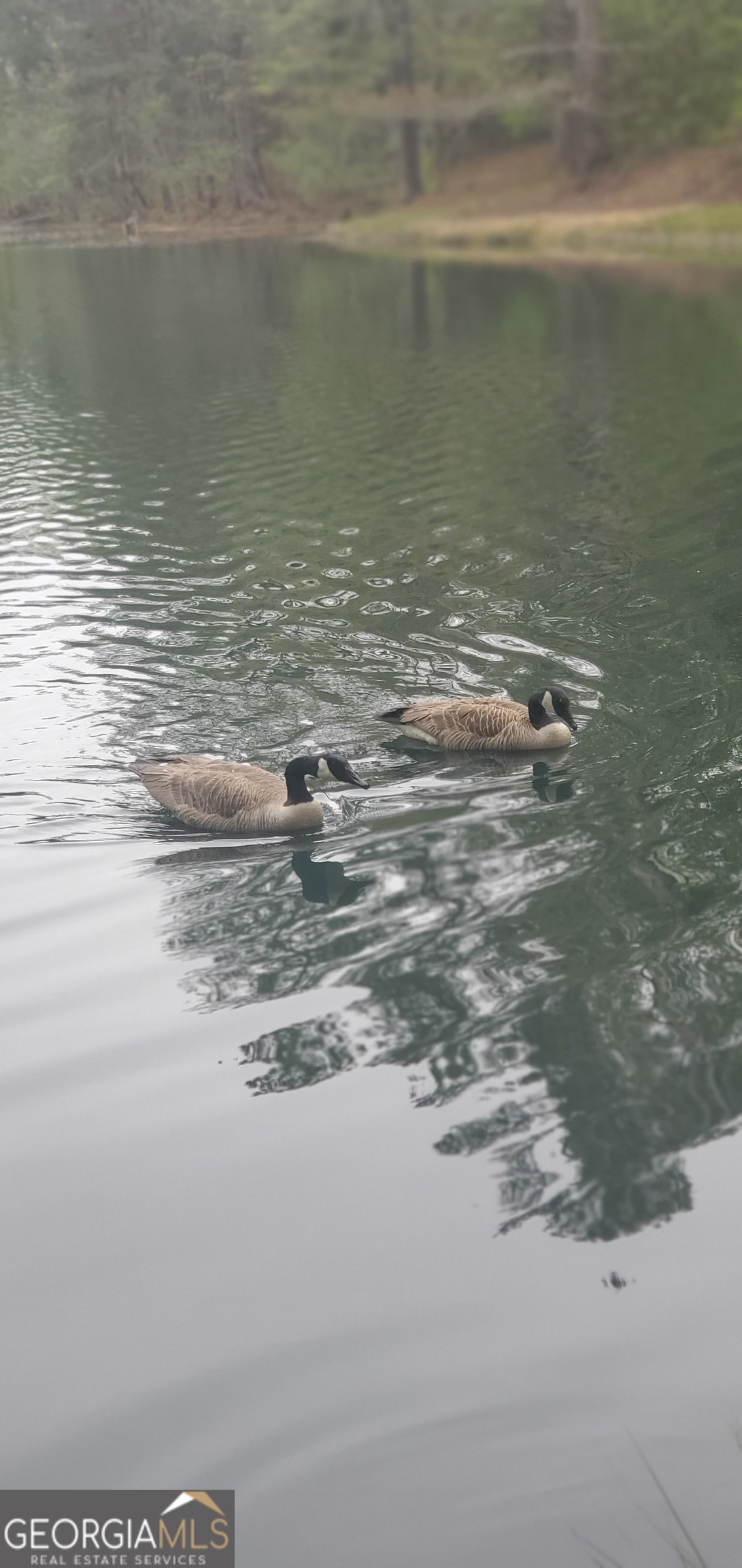 384 Enon Grove Road Franklin, GA 30217 - Photo 17 of 132