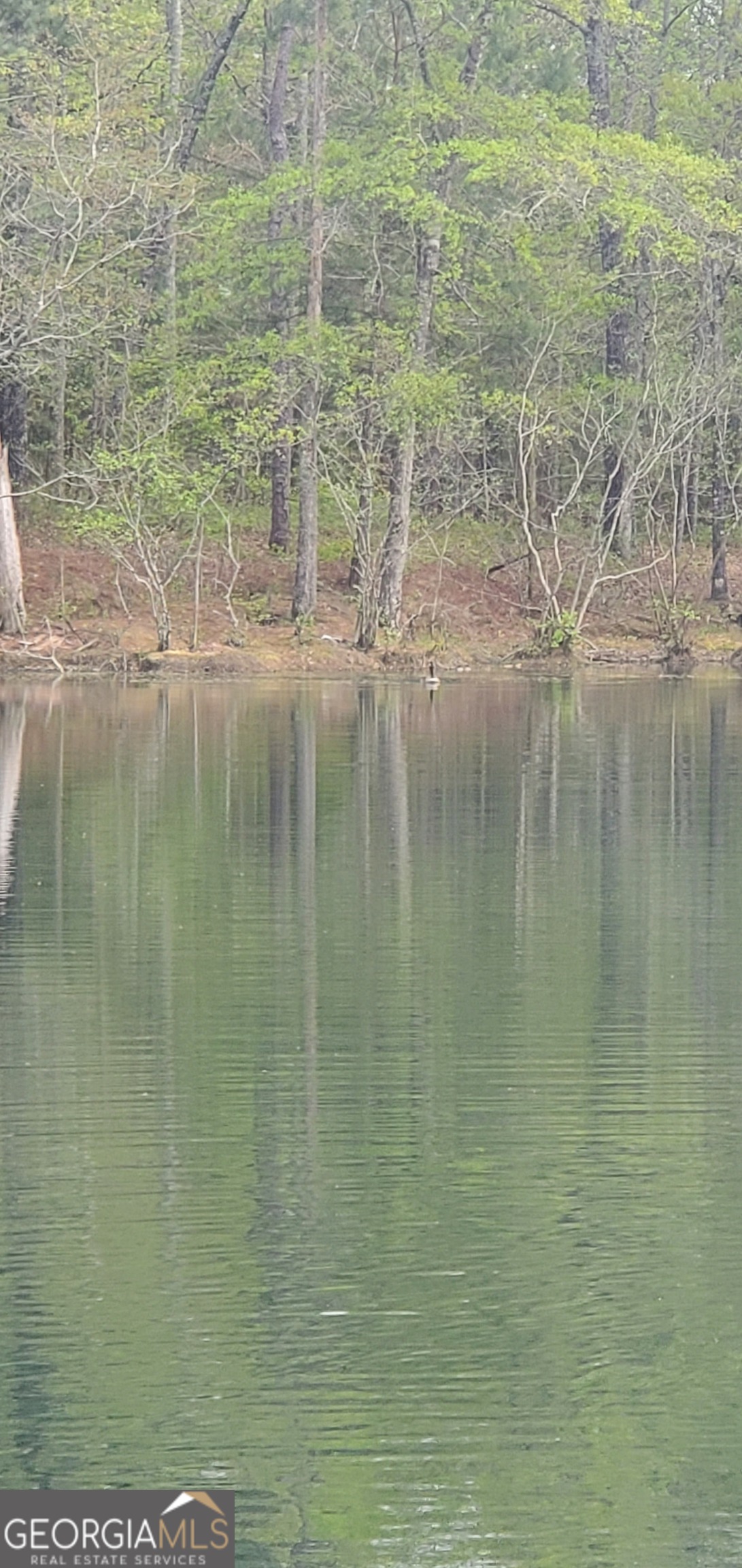 384 Enon Grove Road Franklin, GA 30217 - Photo 18 of 132