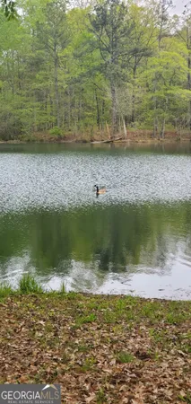 an empty room with furniture and a fireplace