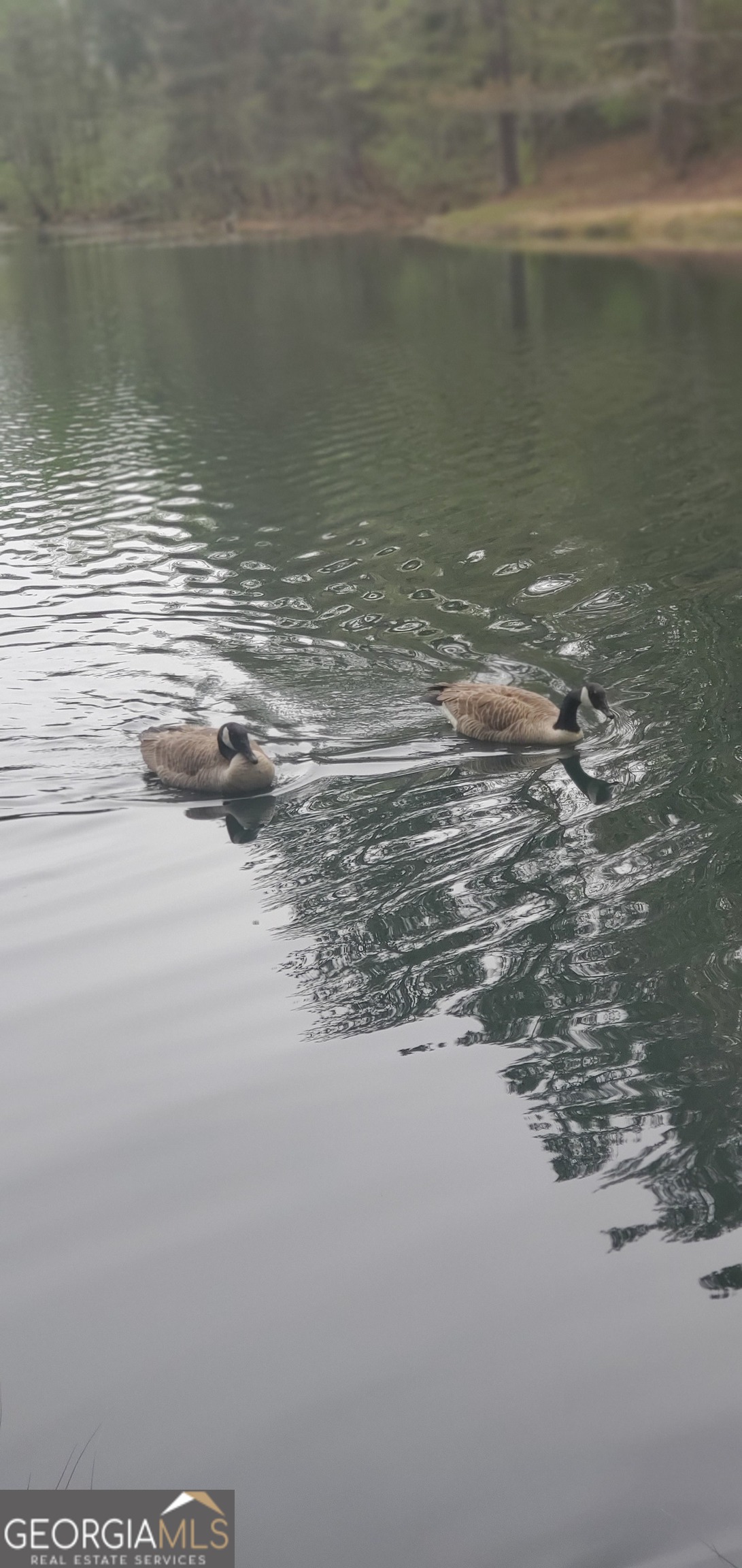 384 Enon Grove Road Franklin, GA 30217 - Photo 20 of 132