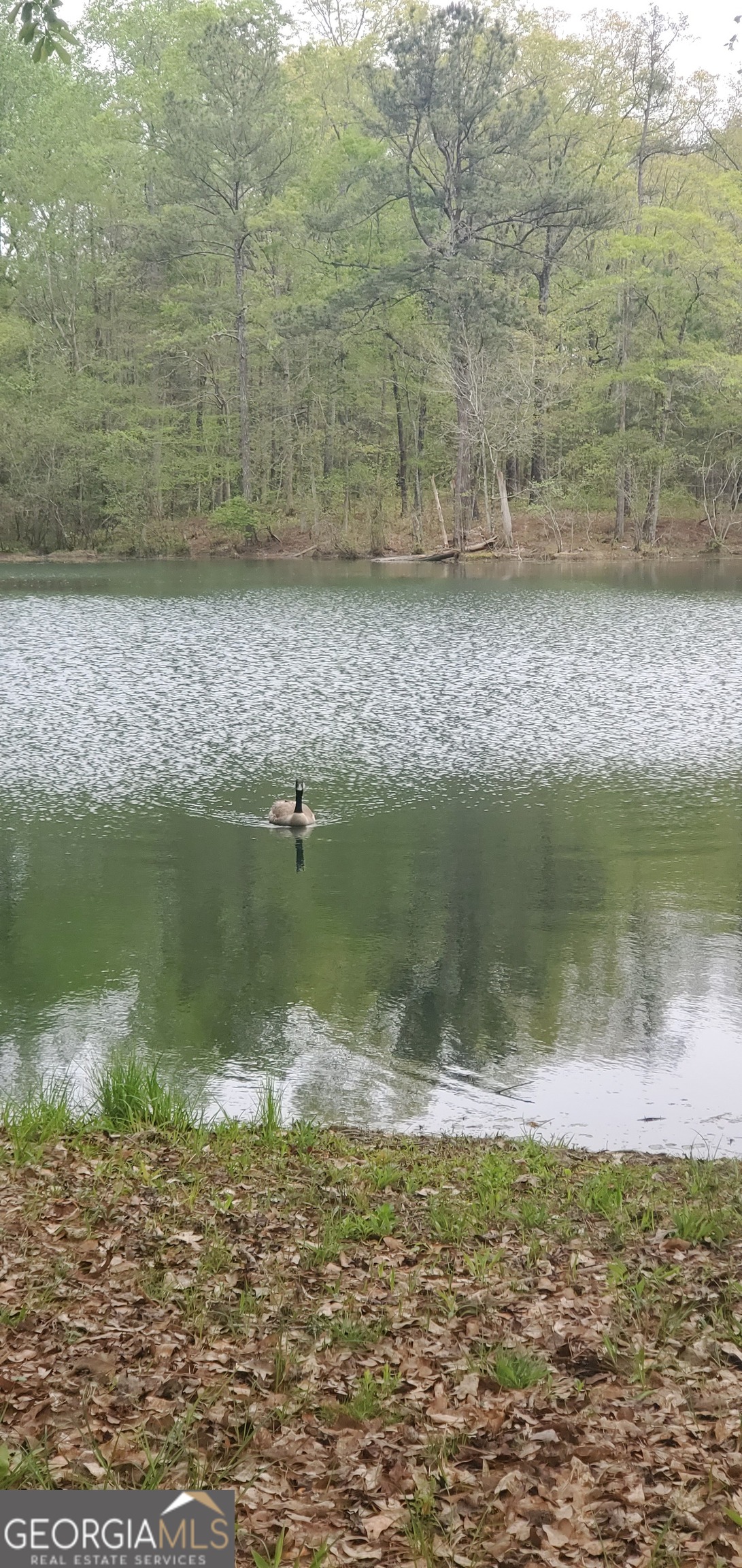 384 Enon Grove Road Franklin, GA 30217 - Photo 21 of 132