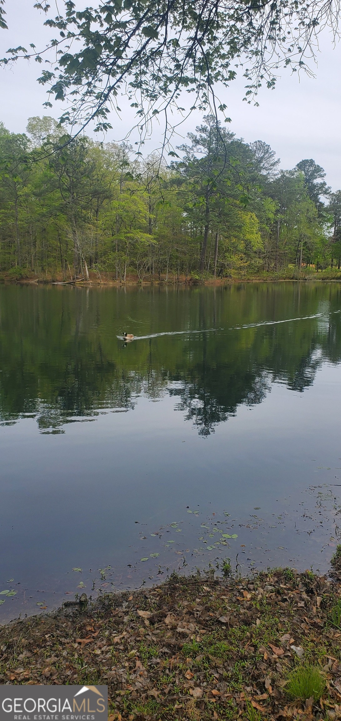 384 Enon Grove Road Franklin, GA 30217 - Photo 25 of 132