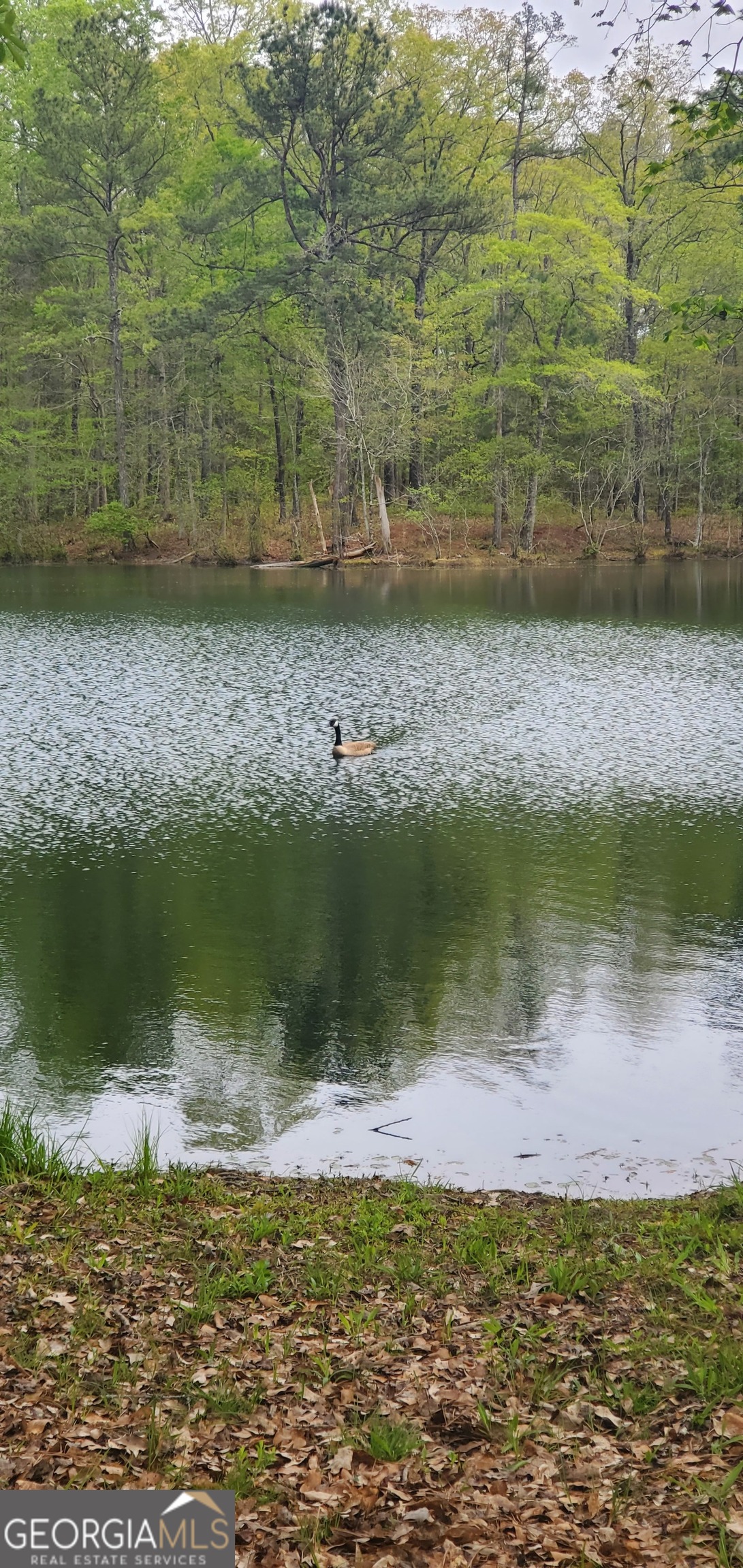 384 Enon Grove Road Franklin, GA 30217 - Photo 27 of 132