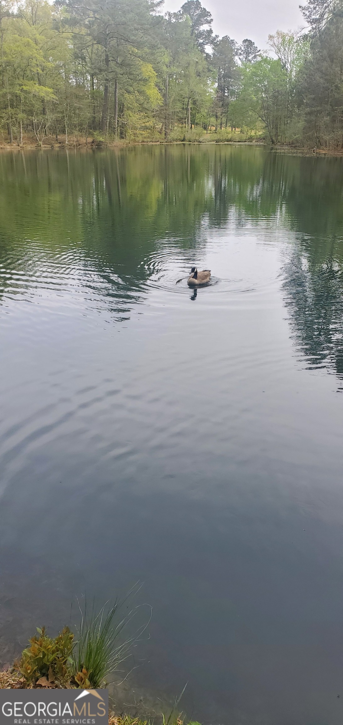 384 Enon Grove Road Franklin, GA 30217 - Photo 29 of 132