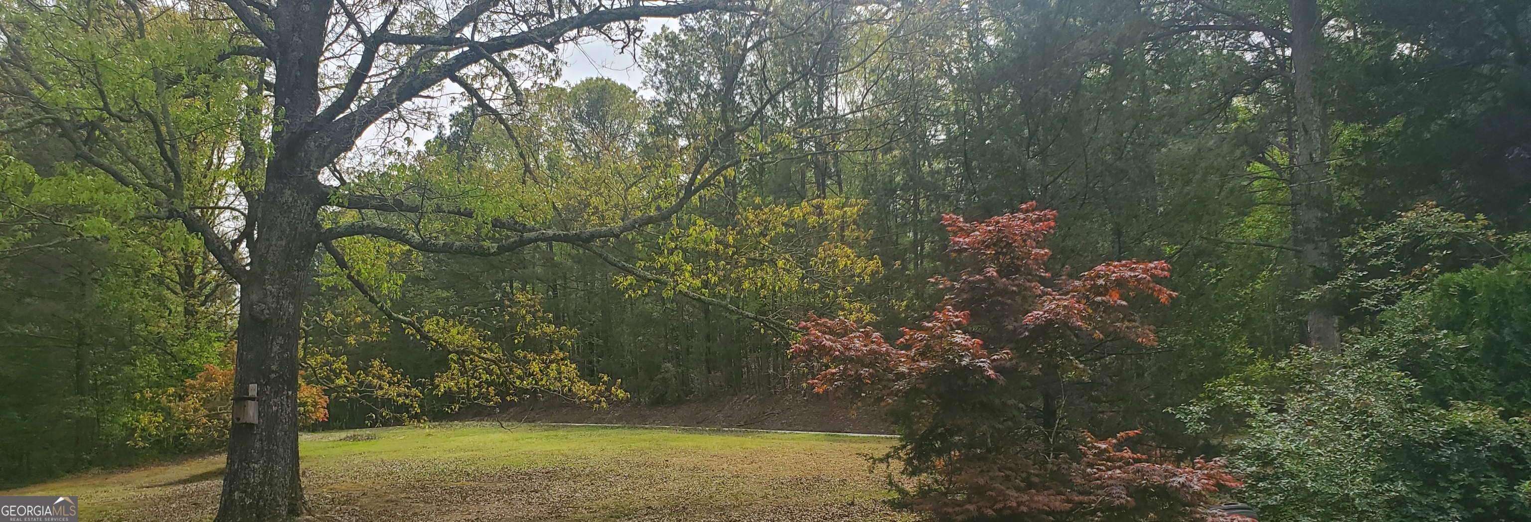 384 Enon Grove Road Franklin, GA 30217 - Photo 30 of 132