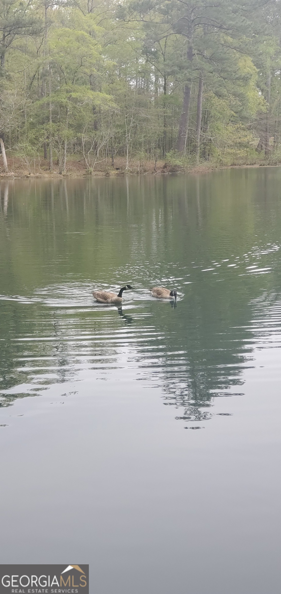 384 Enon Grove Road Franklin, GA 30217 - Photo 31 of 132