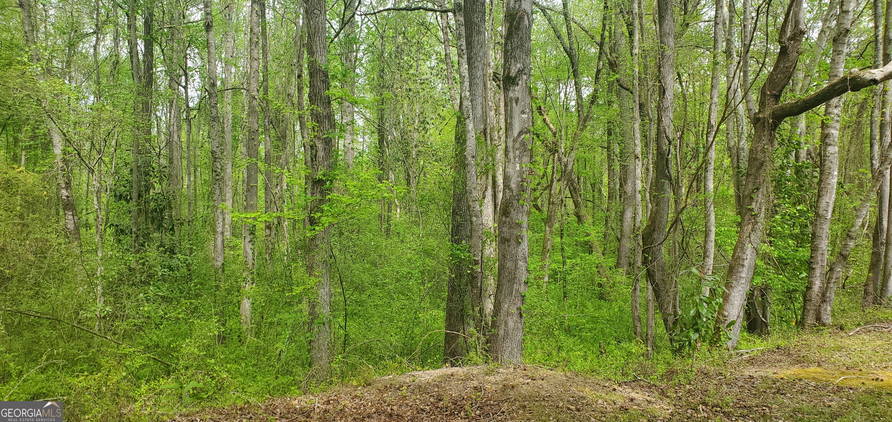 384 Enon Grove Road Franklin, GA 30217 - Photo 33 of 132