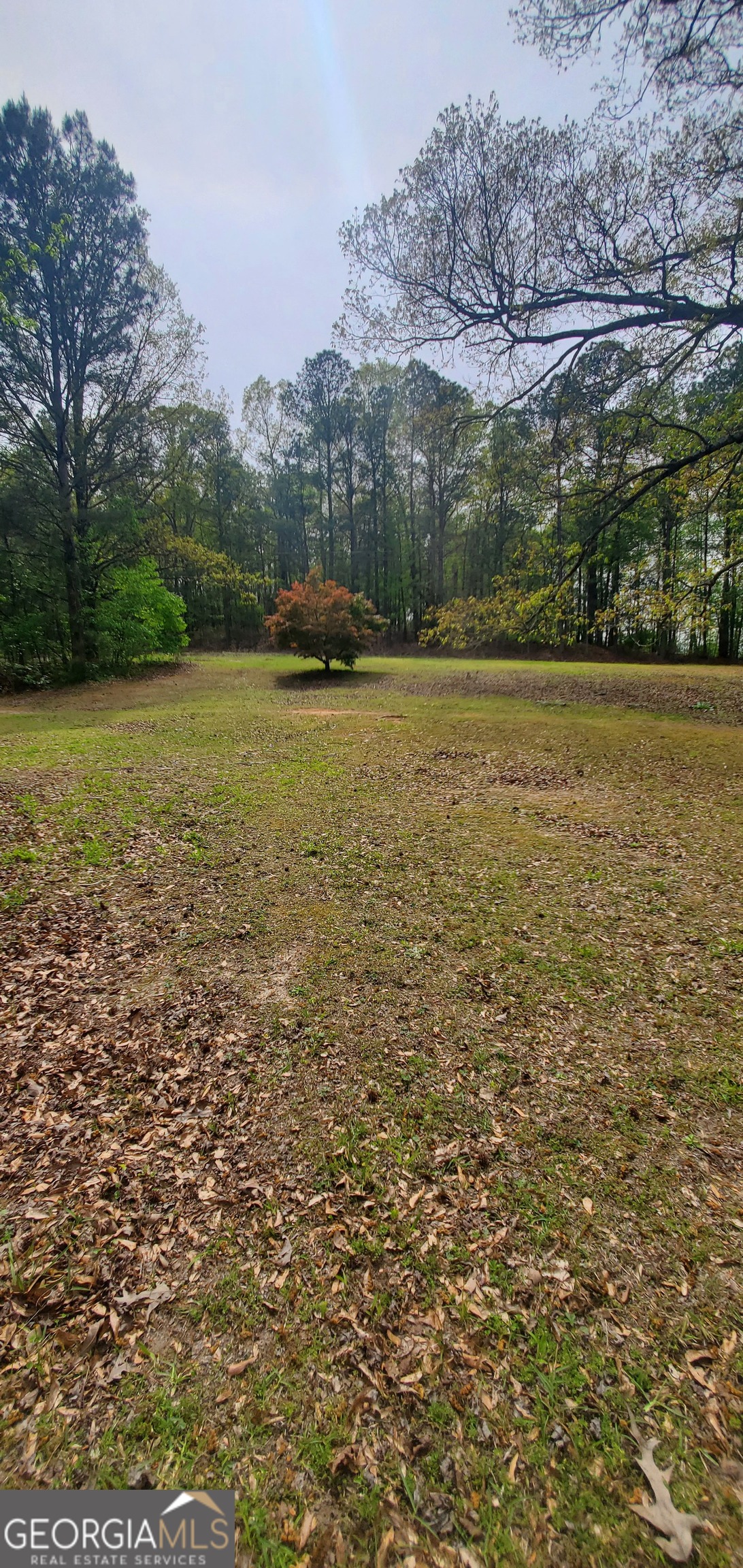 384 Enon Grove Road Franklin, GA 30217 - Photo 34 of 132