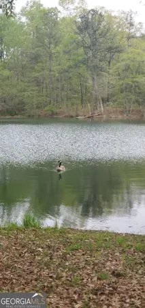 a view of a field with an empty space