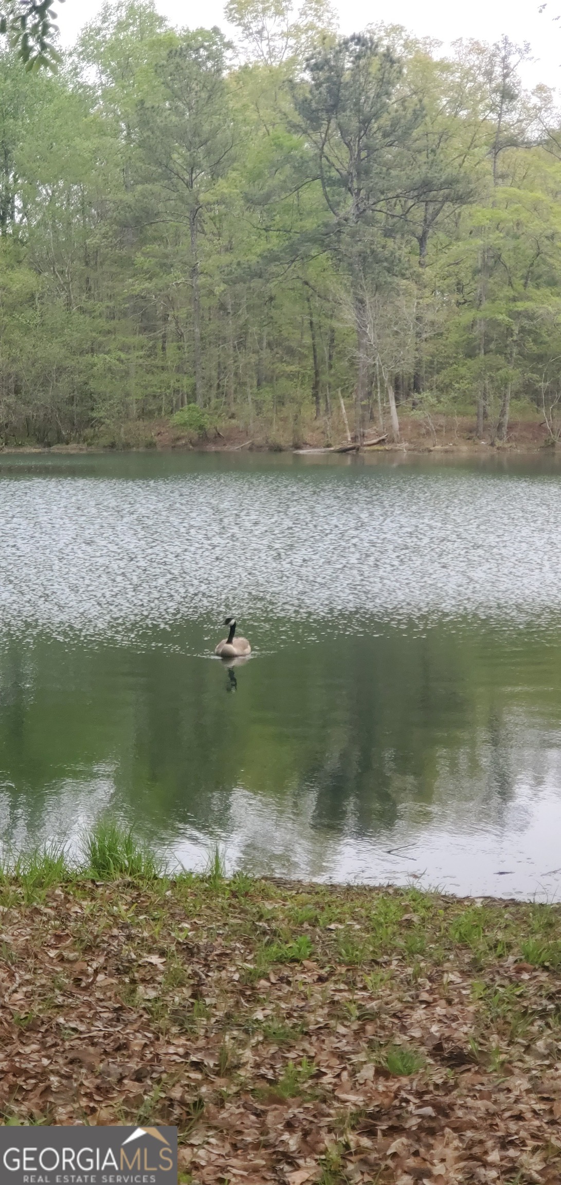 384 Enon Grove Road Franklin, GA 30217 - Photo 35 of 132