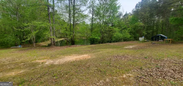 a view of a forest that has a forest