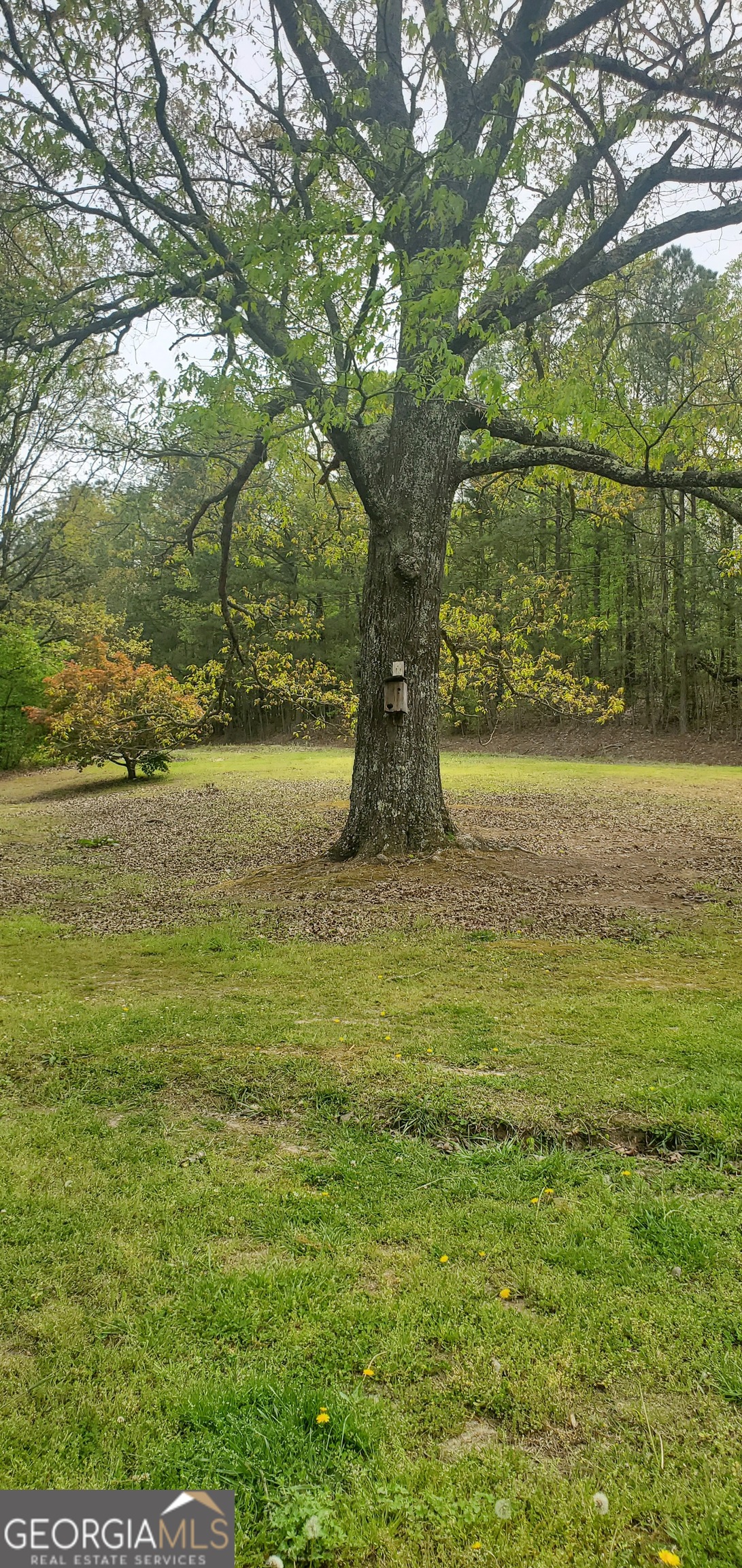 384 Enon Grove Road Franklin, GA 30217 - Photo 37 of 132