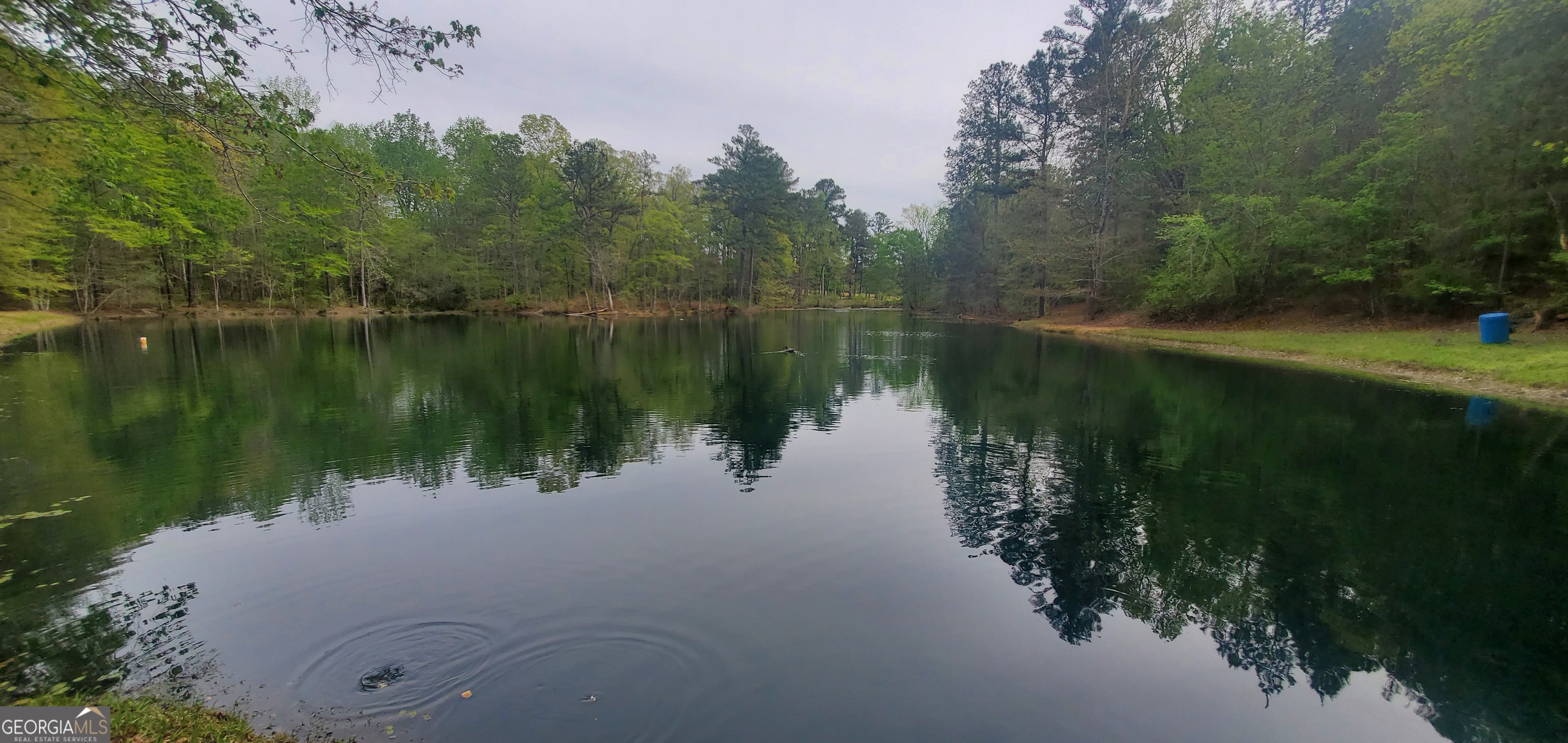 384 Enon Grove Road Franklin, GA 30217 - Photo 5 of 132