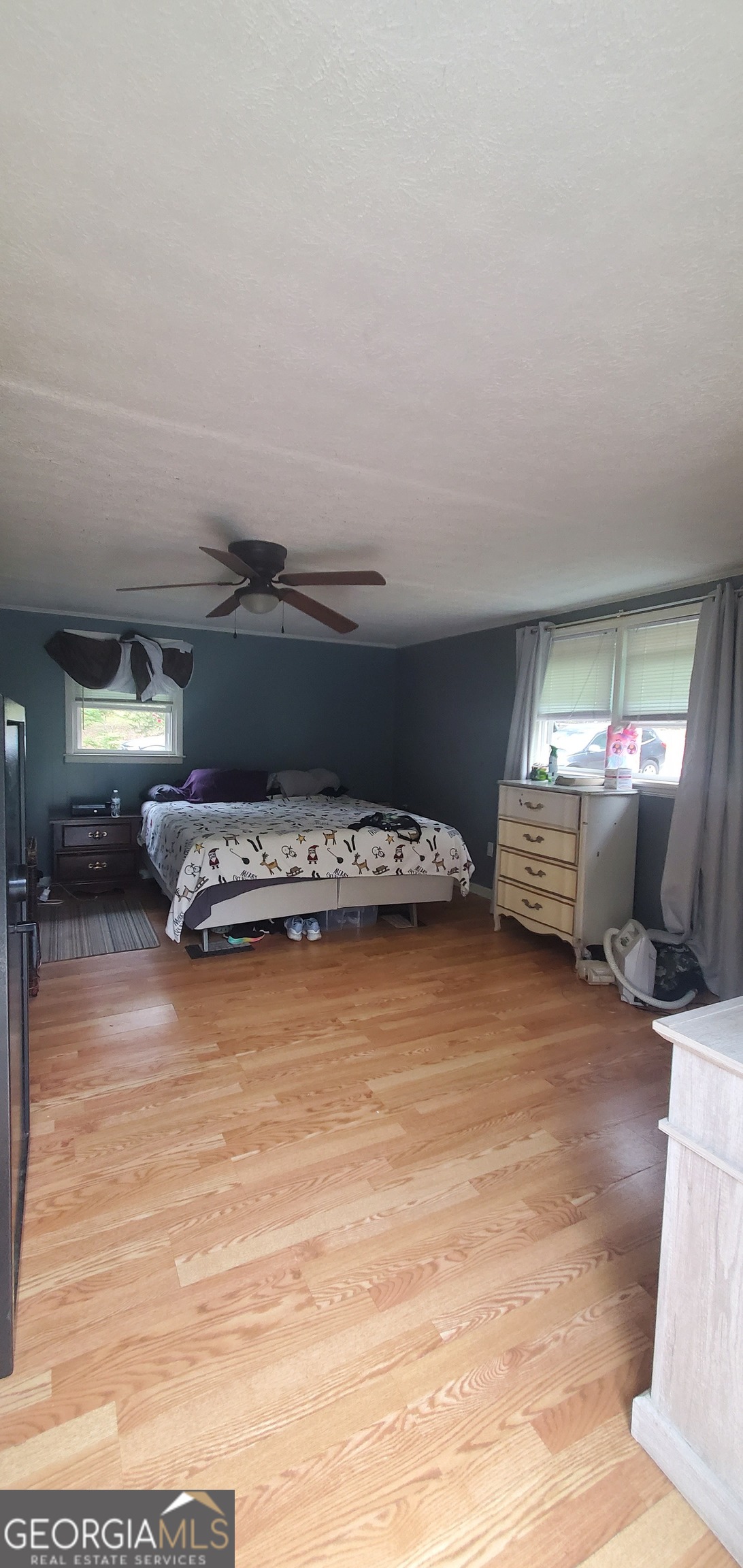 384 Enon Grove Road Franklin, GA 30217 - Photo 59 of 132