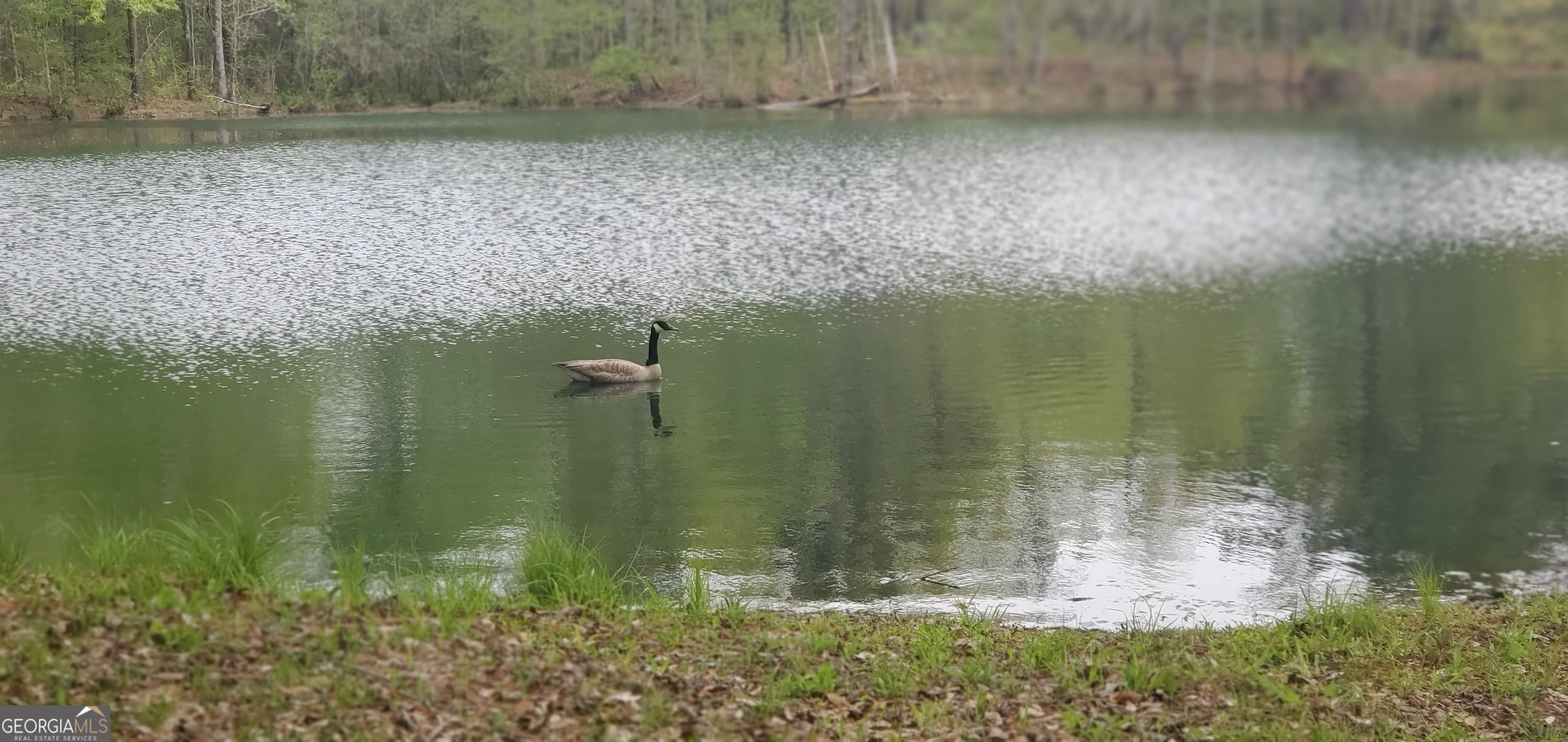 384 Enon Grove Road Franklin, GA 30217 - Photo 6 of 132