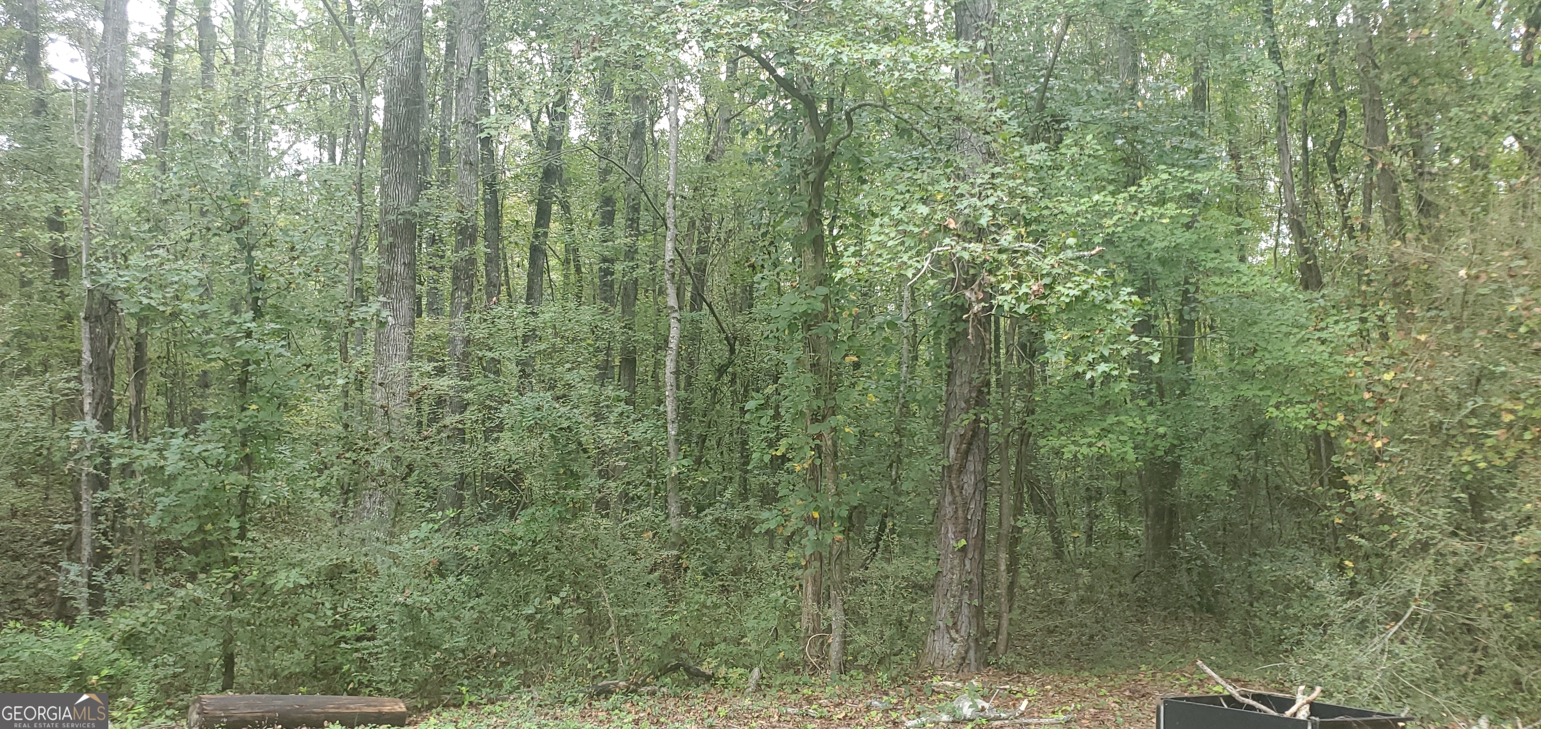 384 Enon Grove Road Franklin, GA 30217 - Photo 80 of 132