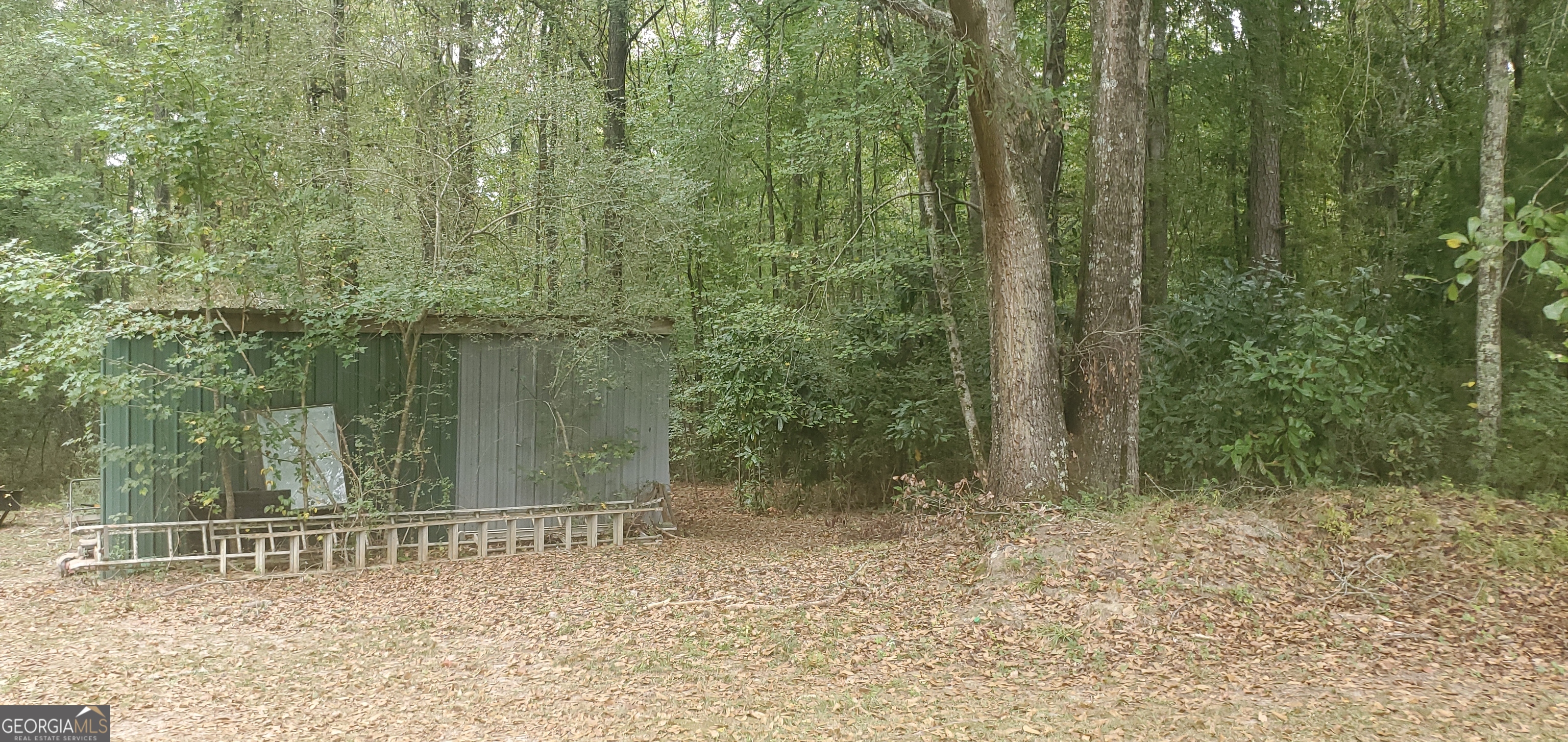 384 Enon Grove Road Franklin, GA 30217 - Photo 82 of 132