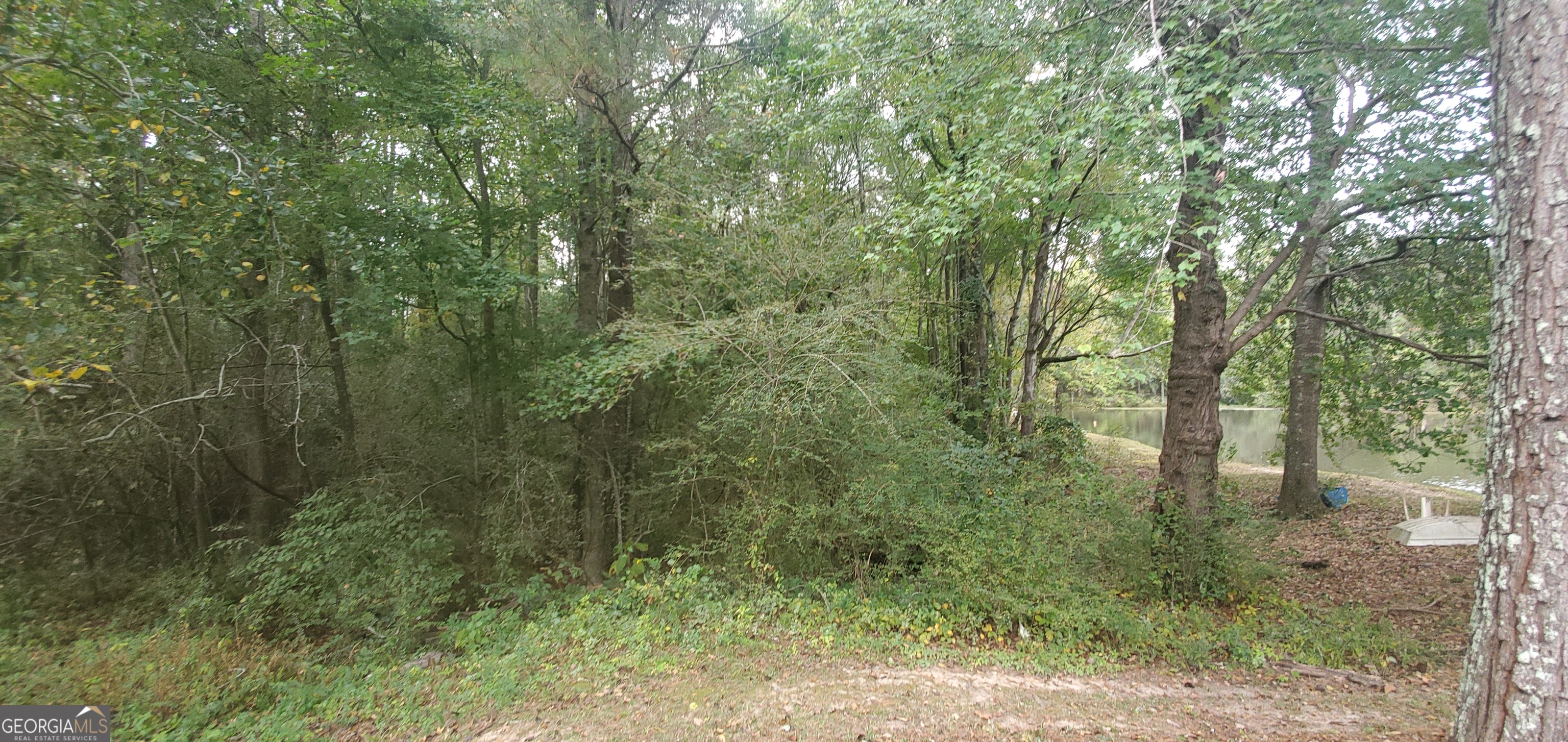 384 Enon Grove Road Franklin, GA 30217 - Photo 84 of 132