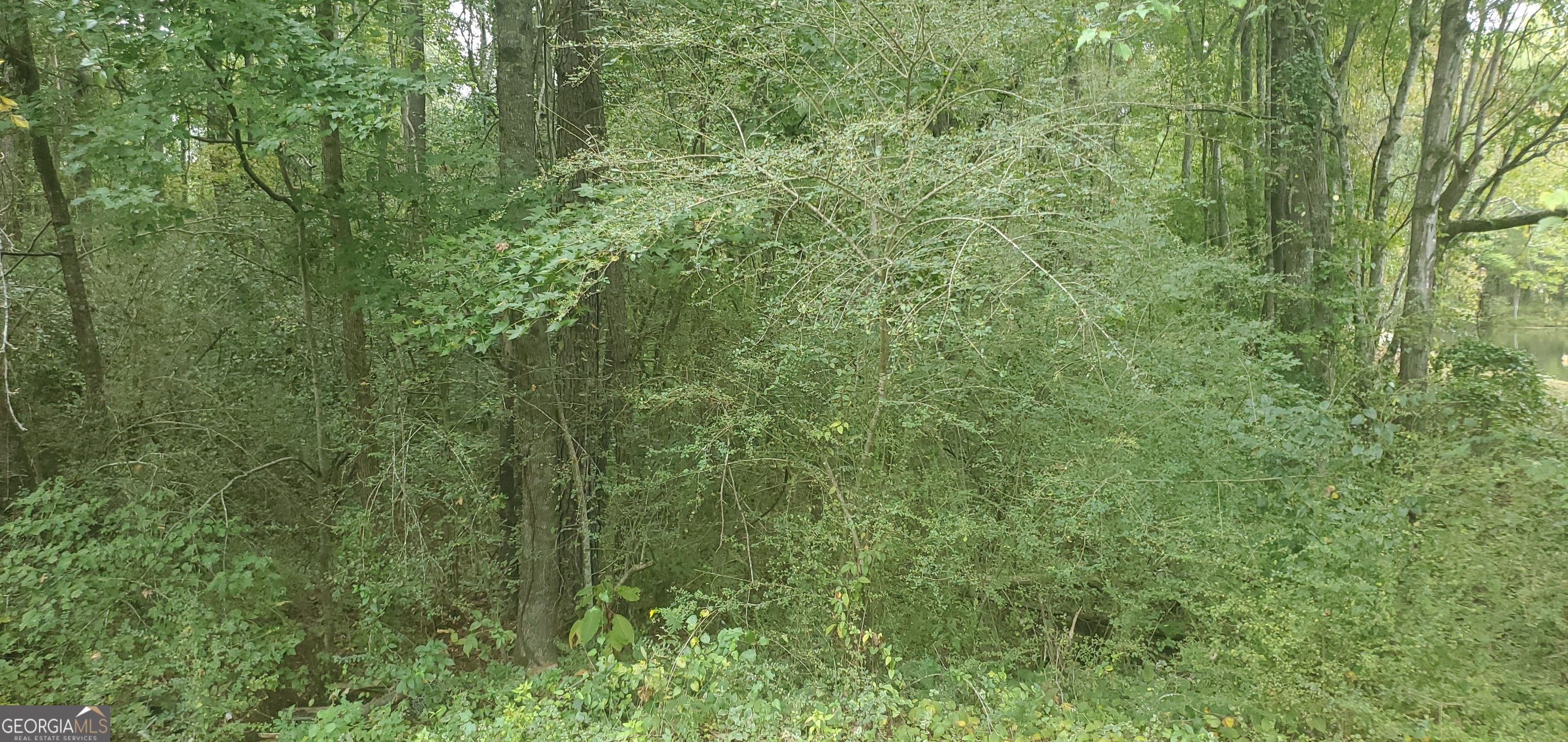 384 Enon Grove Road Franklin, GA 30217 - Photo 85 of 132