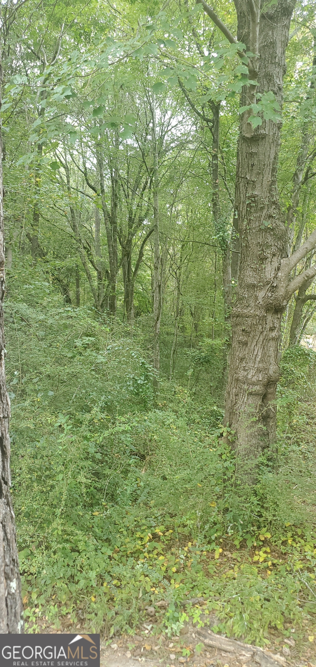 384 Enon Grove Road Franklin, GA 30217 - Photo 86 of 132