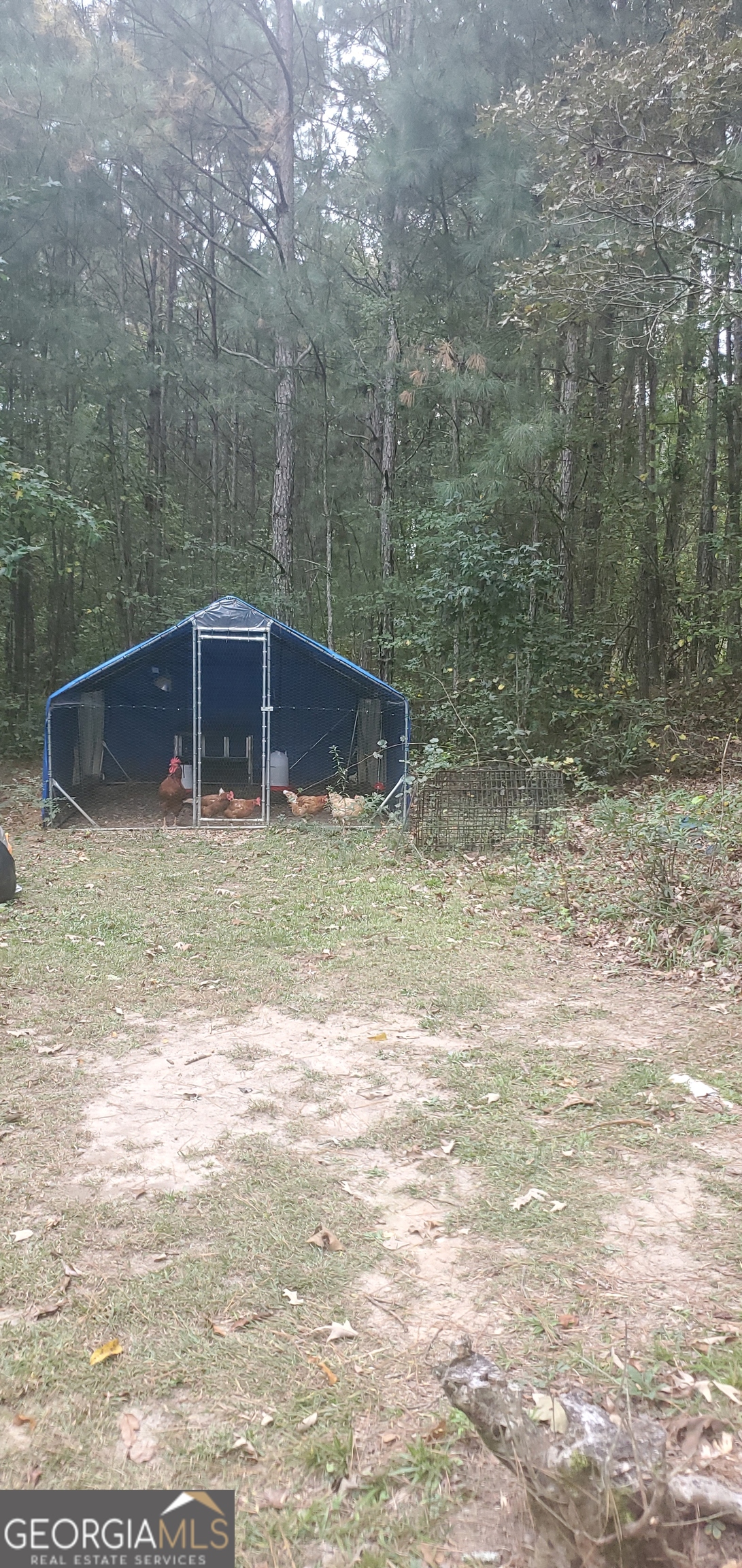 384 Enon Grove Road Franklin, GA 30217 - Photo 87 of 132