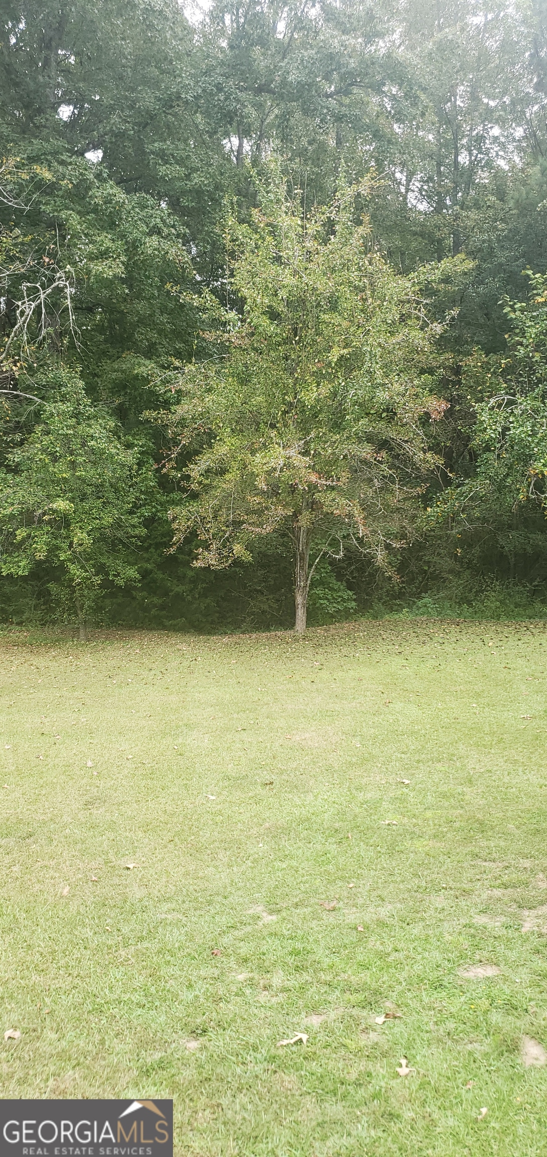 384 Enon Grove Road Franklin, GA 30217 - Photo 88 of 132