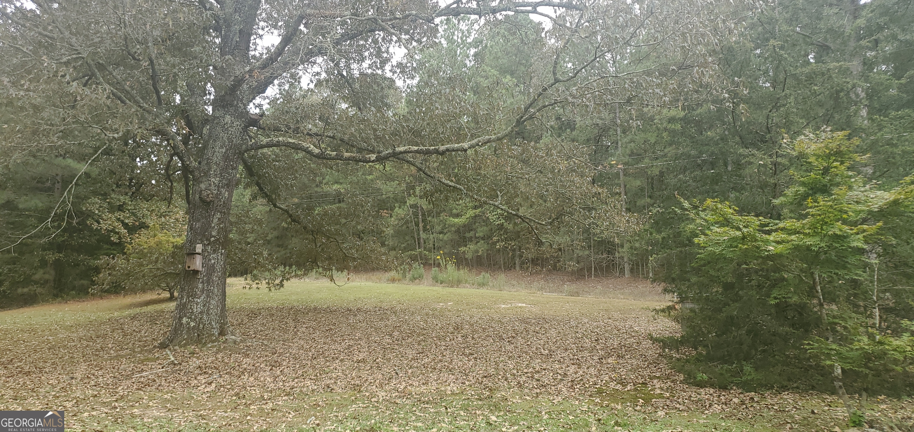 384 Enon Grove Road Franklin, GA 30217 - Photo 89 of 132