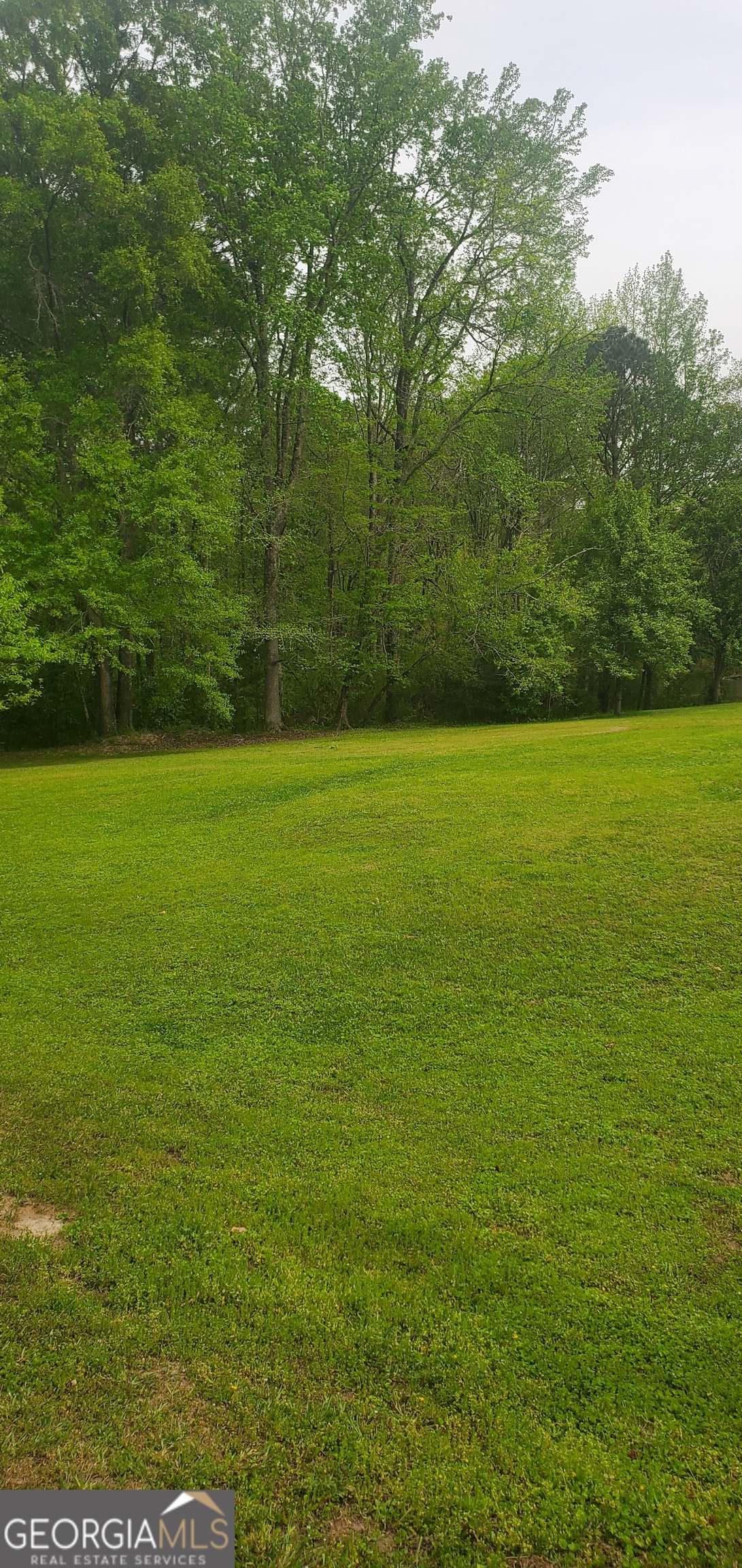 384 Enon Grove Road Franklin, GA 30217 - Photo 95 of 132