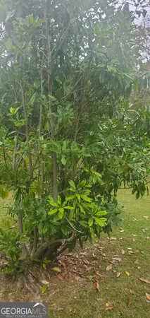 $419,900 | 384 Enon Grove Road, Franklin, GA 30217