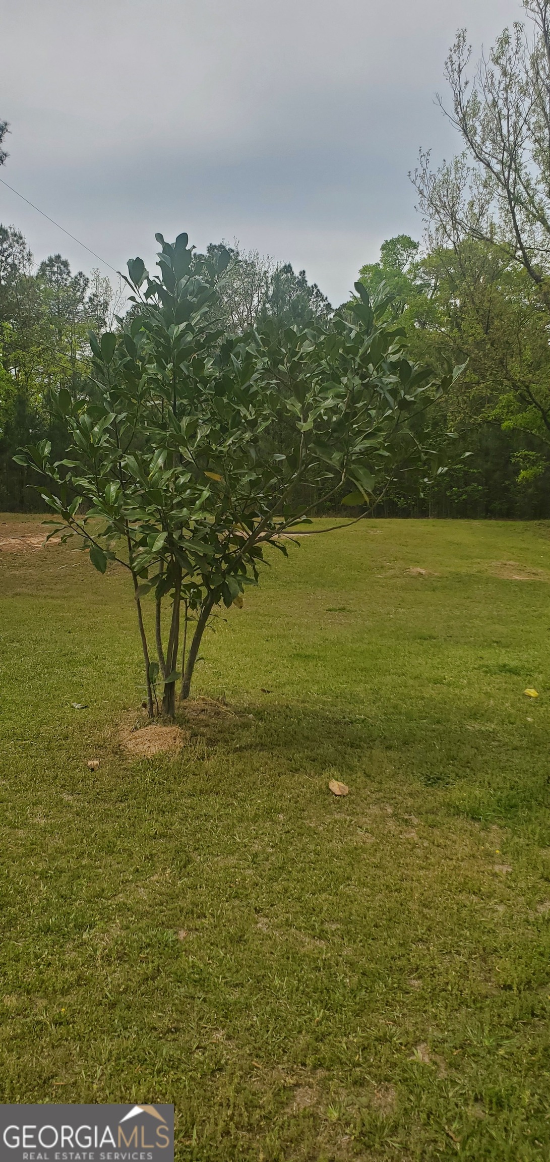 384 Enon Grove Road Franklin, GA 30217 - Photo 98 of 132