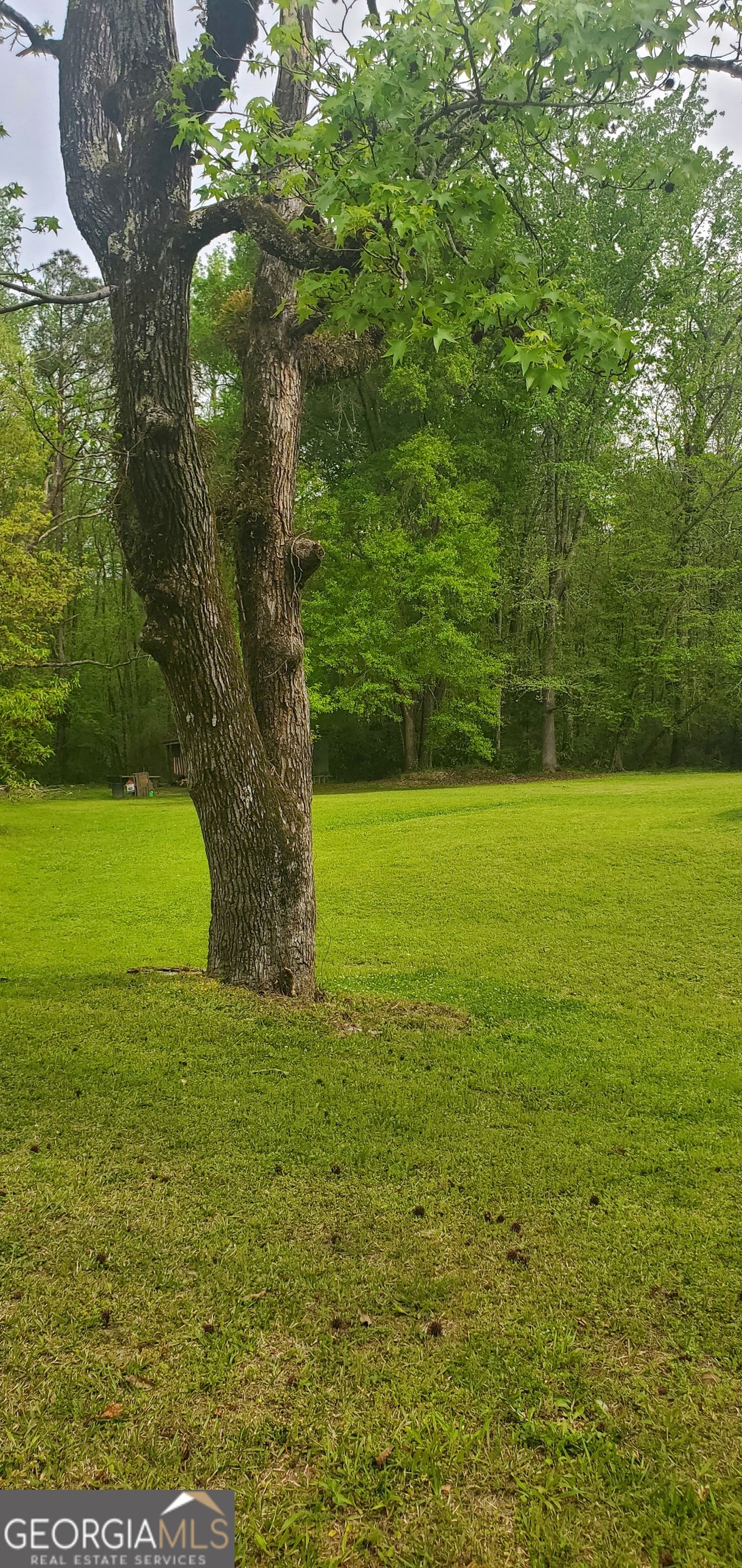 384 Enon Grove Road Franklin, GA 30217 - Photo 99 of 132