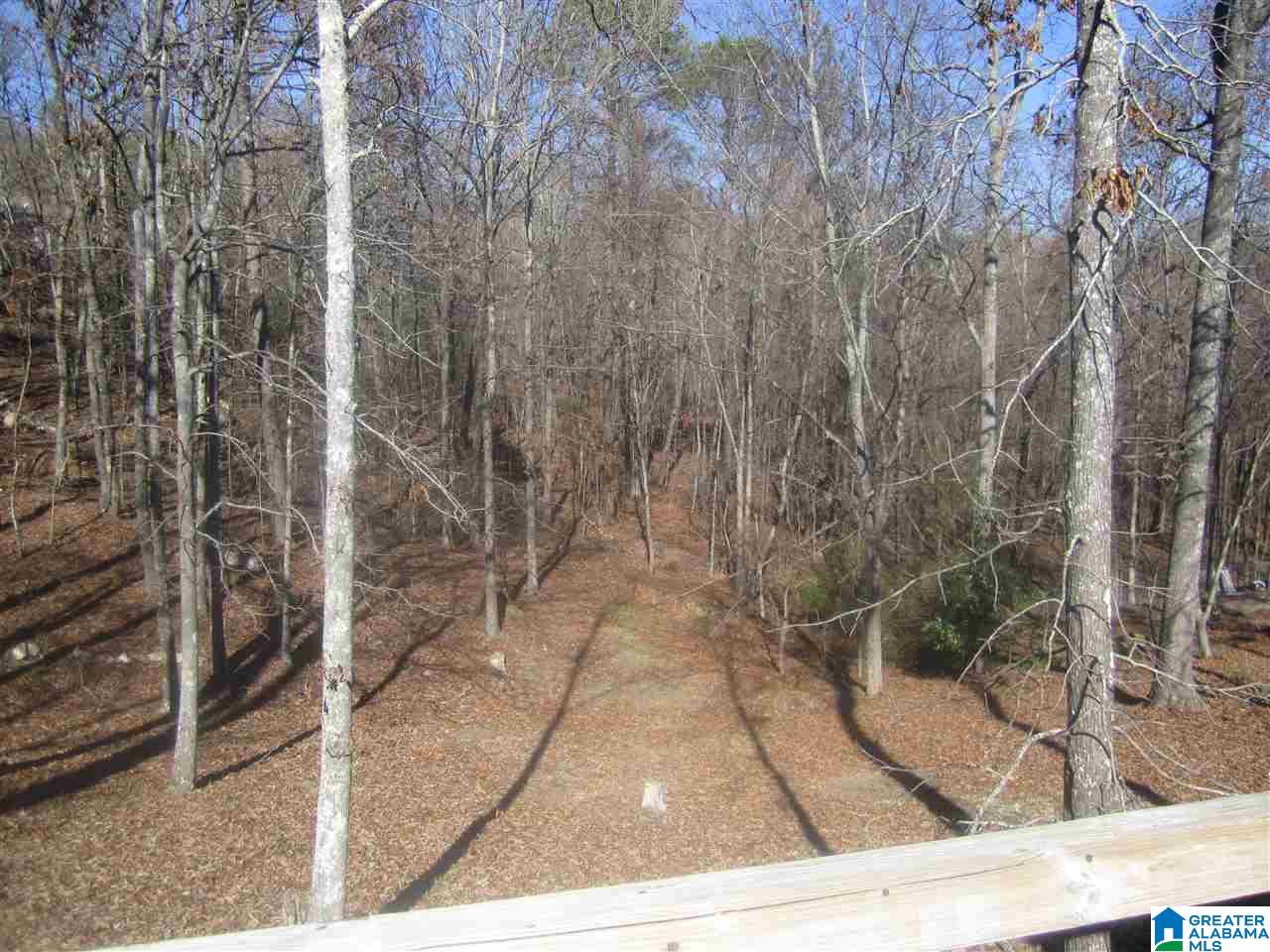 729 Wilderness Road Pelham, AL 35124 - Photo 23 of 32