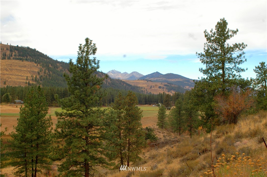 15 Arabian Road Winthrop, WA 98862 - Photo 13 of 25 Gallery Image 13