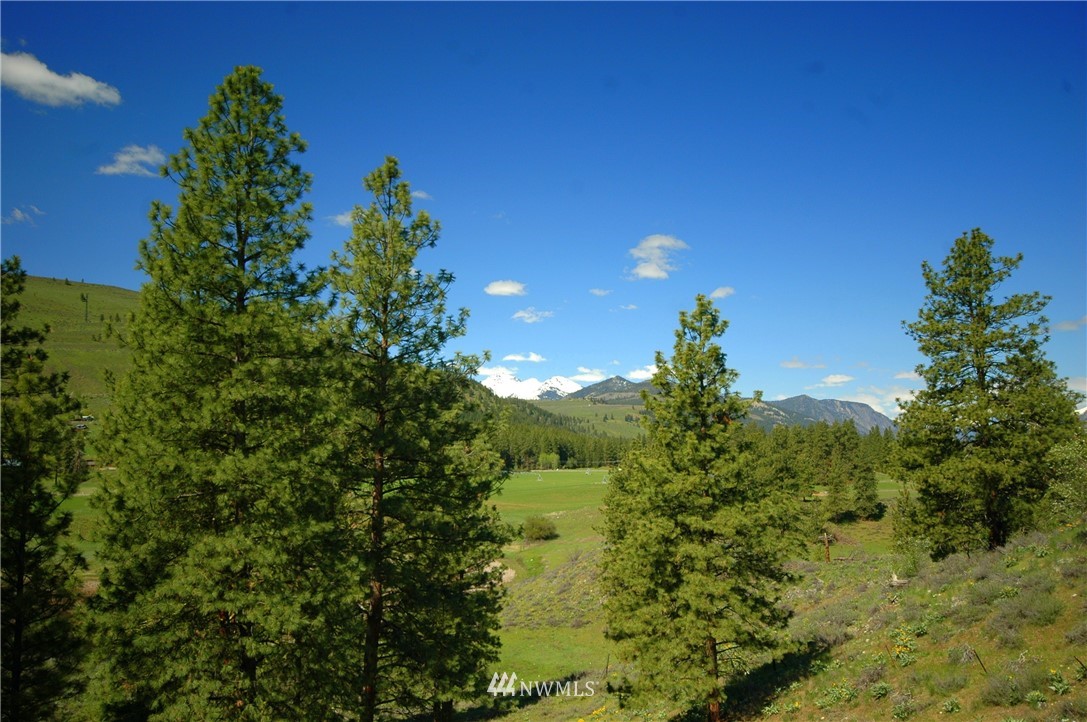 15 Arabian Road Winthrop, WA 98862 - Photo 15 of 25 Gallery Image 15