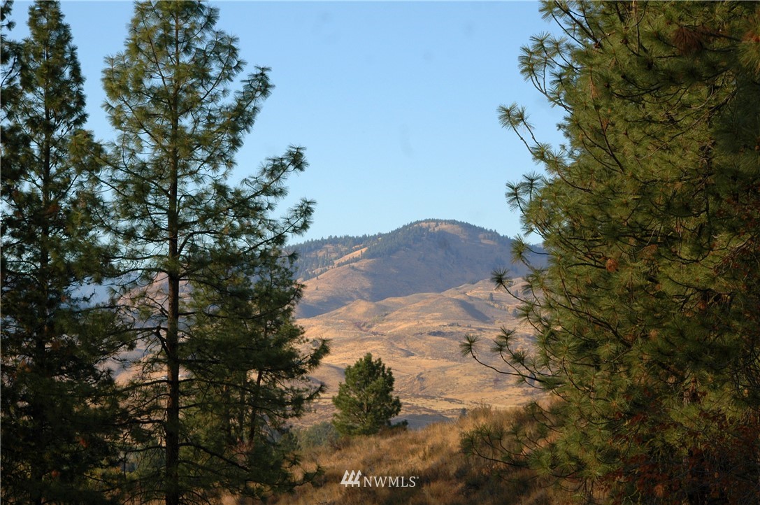 15 Arabian Road Winthrop, WA 98862 - Photo 17 of 25 Gallery Image 17