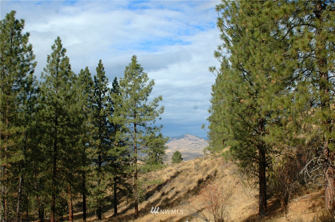 15 Arabian Road Winthrop, WA 98862 - Photo 22 of 25 Gallery Image 22