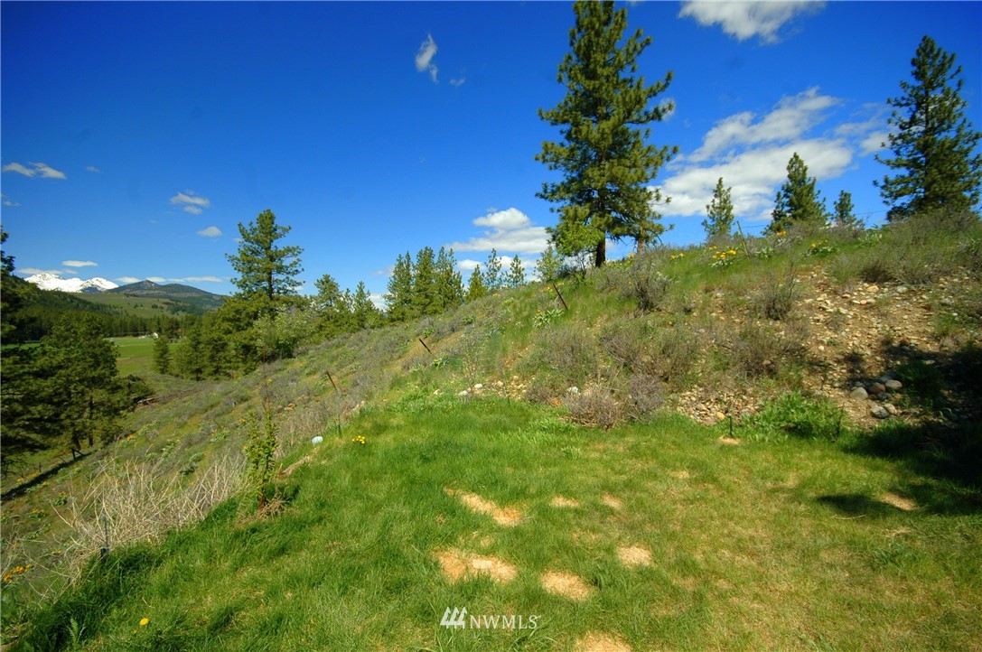 15 Arabian Road Winthrop, WA 98862 - Photo 23 of 25 Gallery Image 23