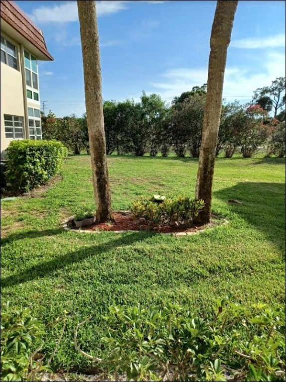 Undisclosed Address Vero Beach, FL 32962 - Photo 4 of 30 a view of a garden with a tree