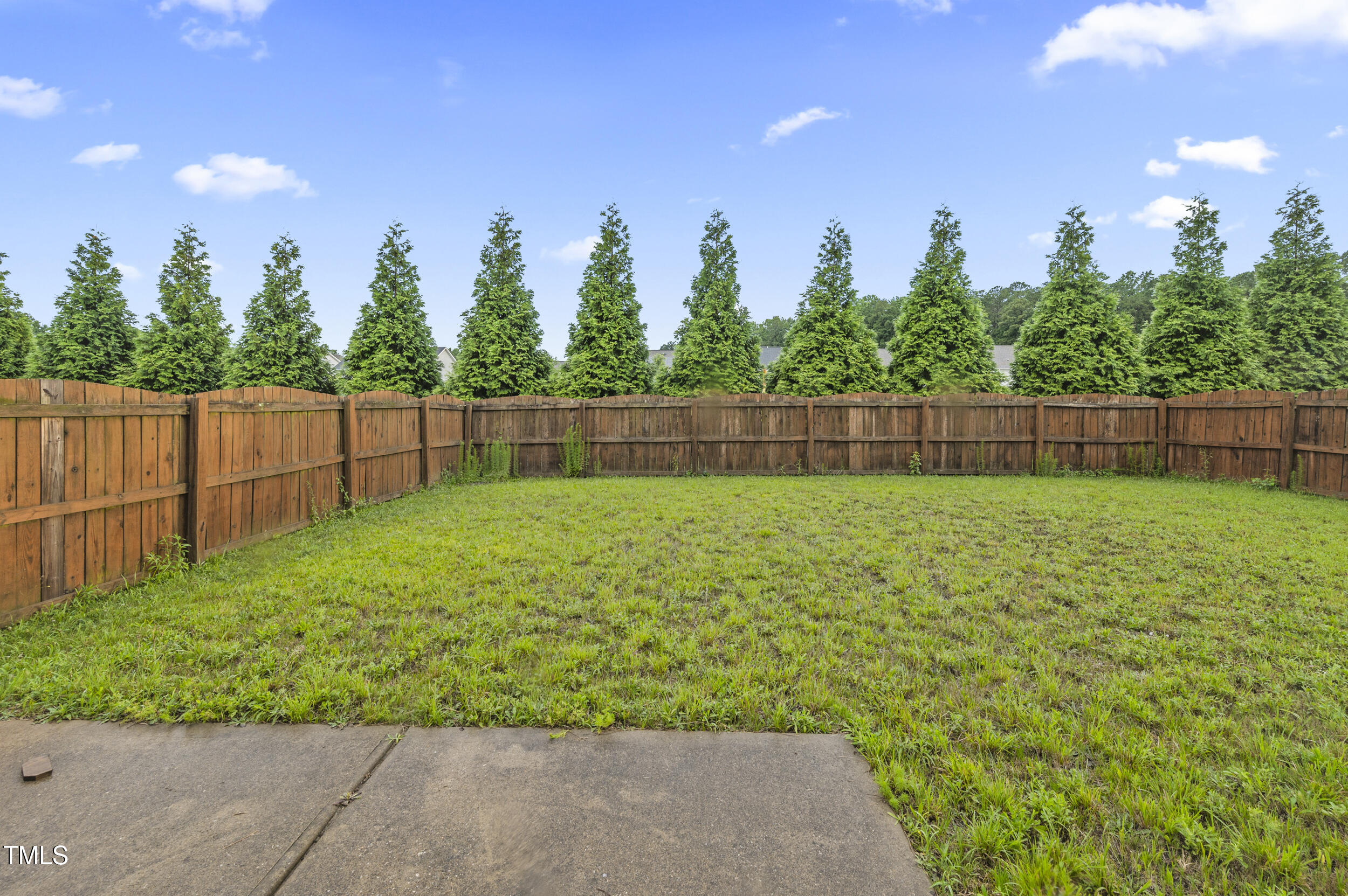 1204 Chapanoke Road Raleigh, NC 27603 - Photo 43 of 45 a view of a backyard with a garden and plants