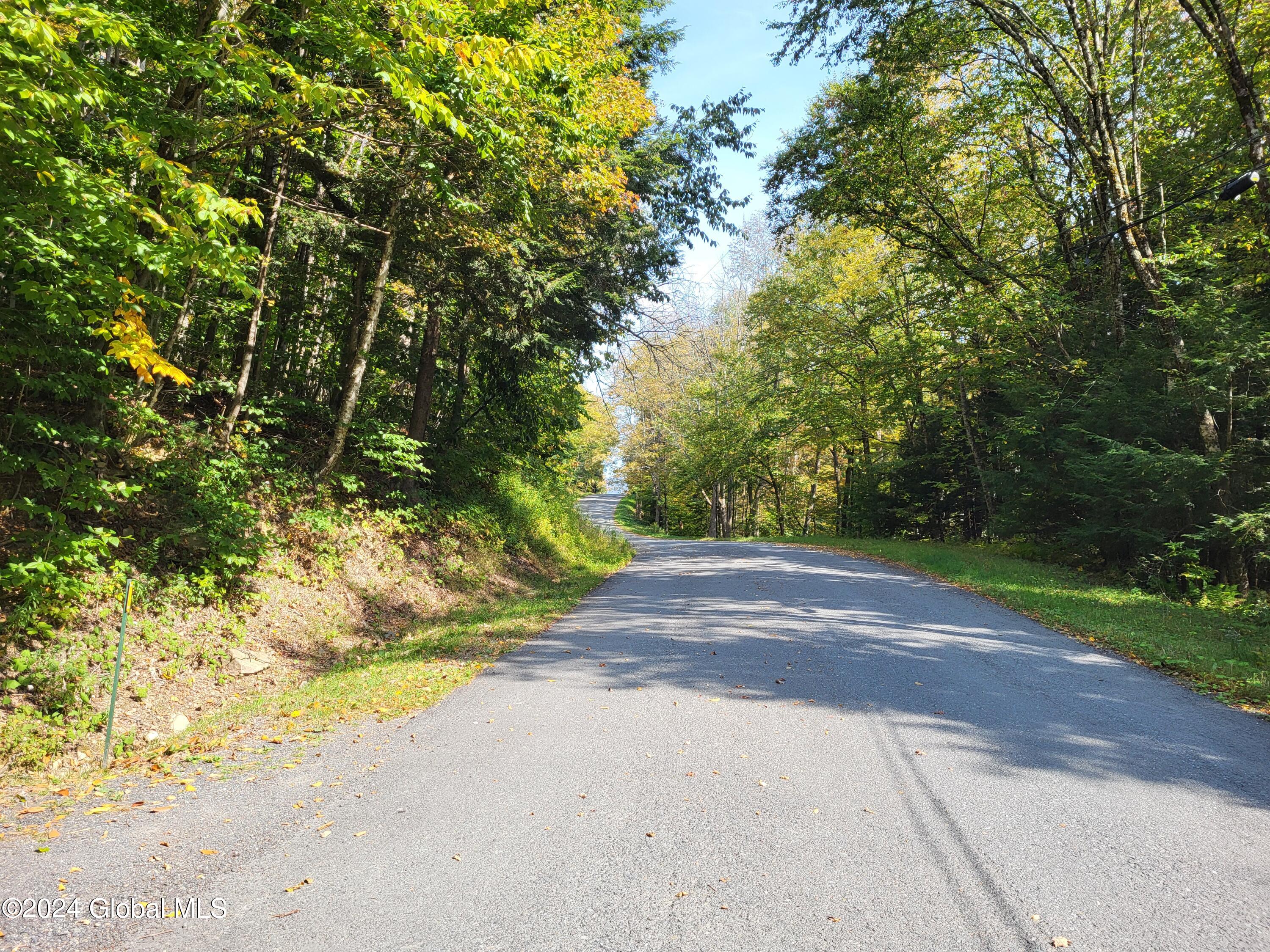 837 Black River Road Berlin, NY 12138 - Photo 55 of 57 53
